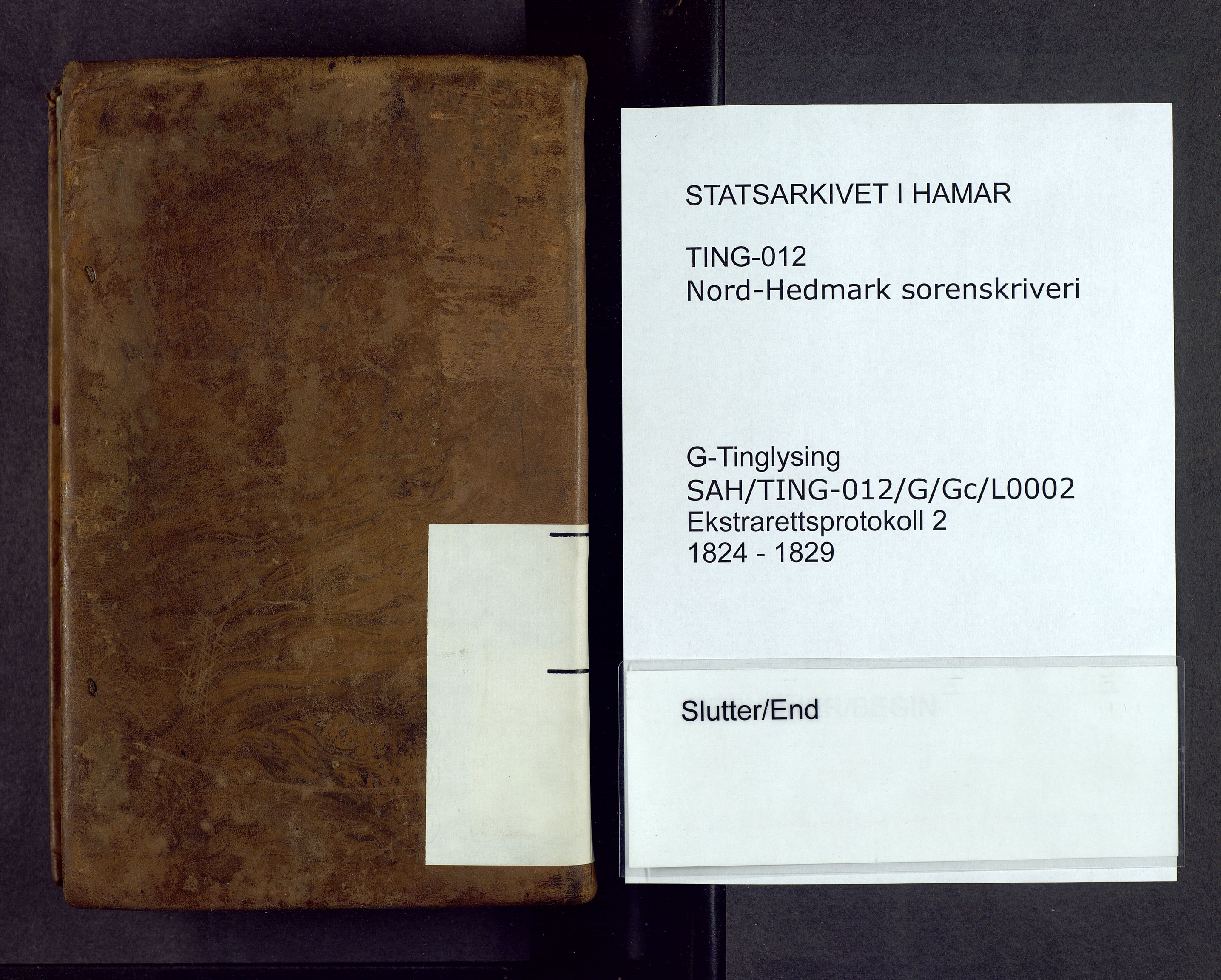 Nord-Hedmark sorenskriveri, AV/SAH-TING-012/G/Gc/L0002: Ekstrarettsprotokoll, 1824-1829