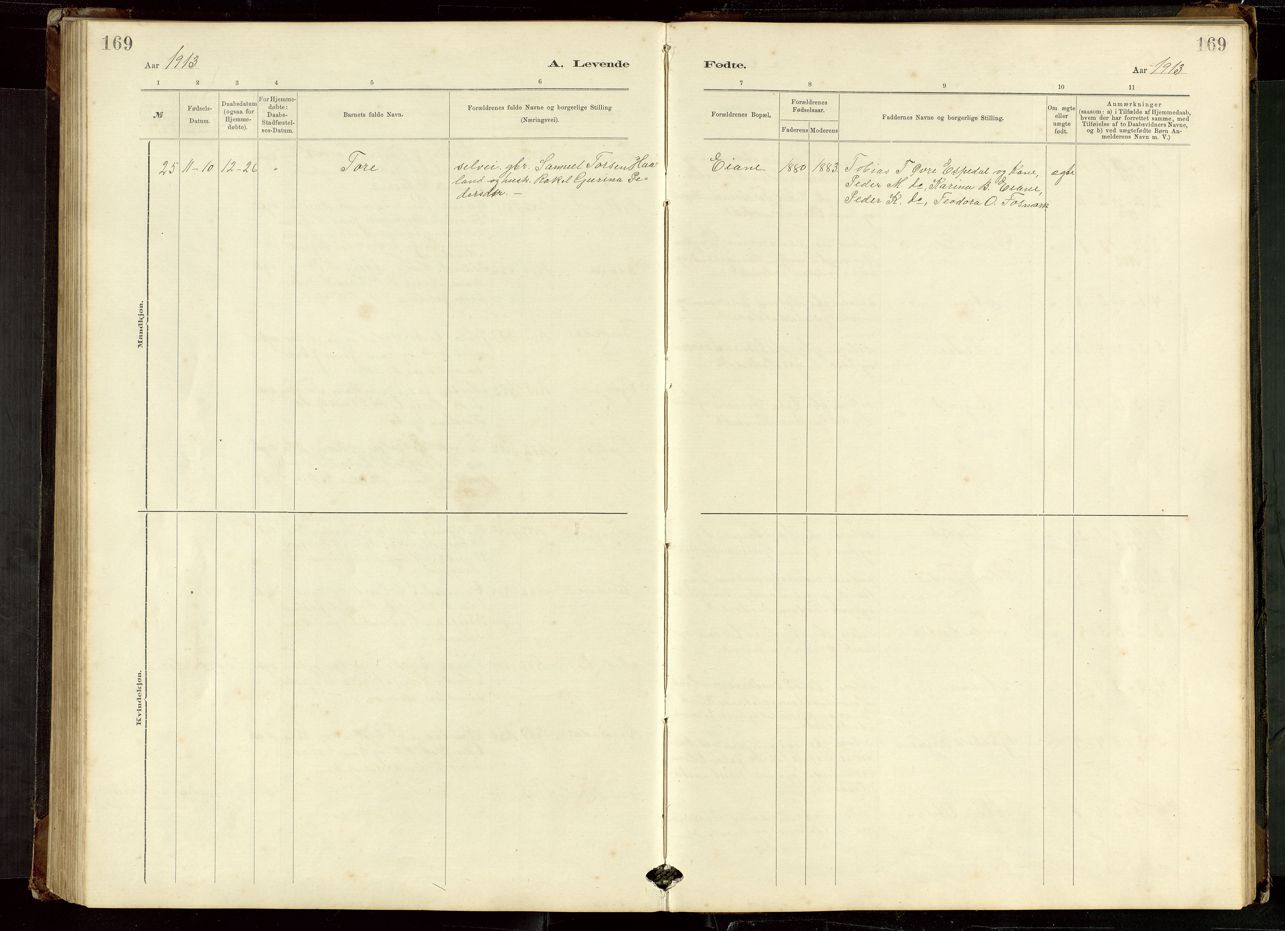 Høgsfjord sokneprestkontor, AV/SAST-A-101624/H/Ha/Hab/L0009: Klokkerbok nr. B 9, 1883-1920, s. 169