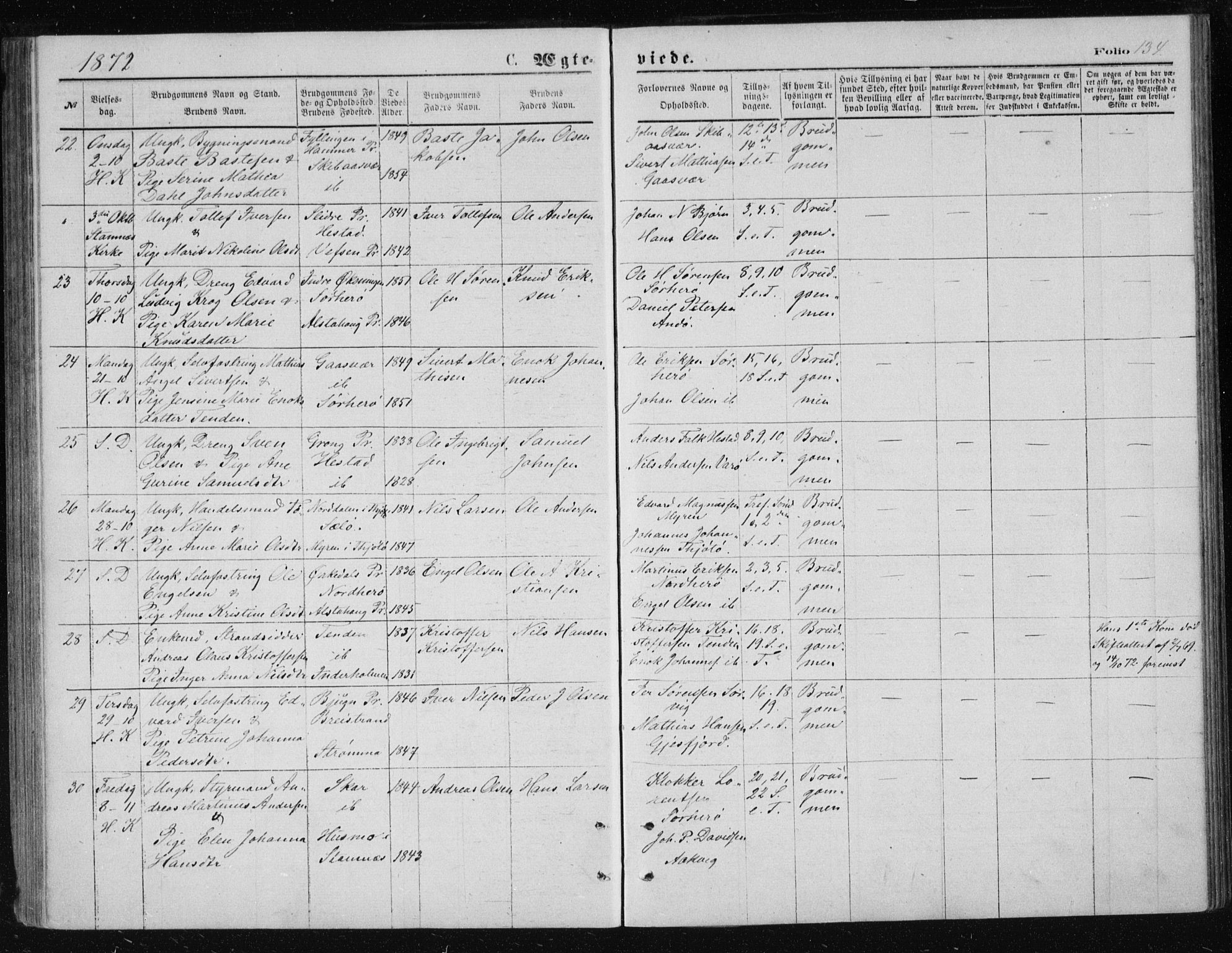 Ministerialprotokoller, klokkerbøker og fødselsregistre - Nordland, SAT/A-1459/834/L0506: Ministerialbok nr. 834A04, 1872-1878, s. 134