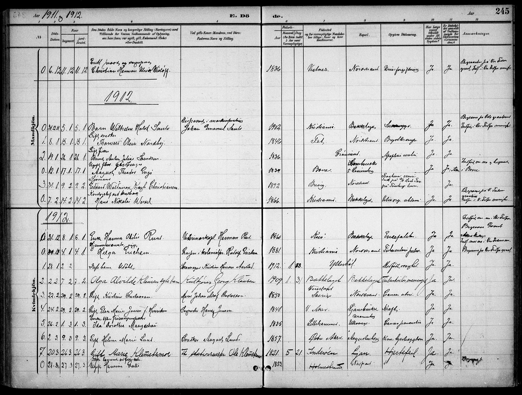 Nordstrand prestekontor Kirkebøker, AV/SAO-A-10362a/F/Fa/L0001: Ministerialbok nr. 1, 1900-1914, s. 245