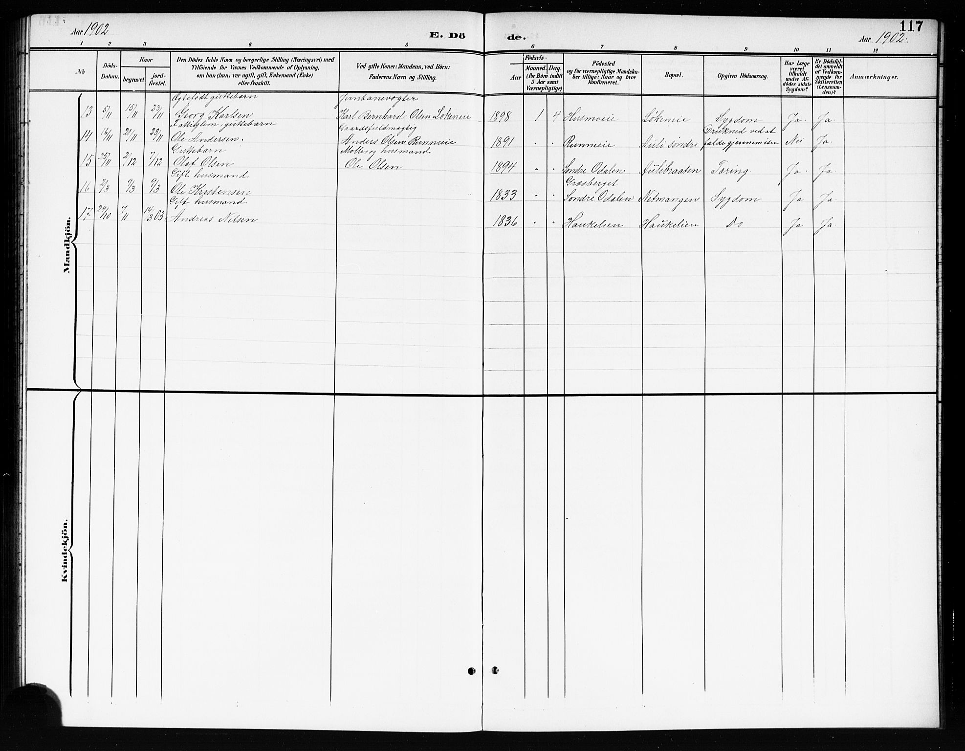 Nes prestekontor Kirkebøker, AV/SAO-A-10410/G/Gc/L0001: Klokkerbok nr. III 1, 1901-1917, s. 117