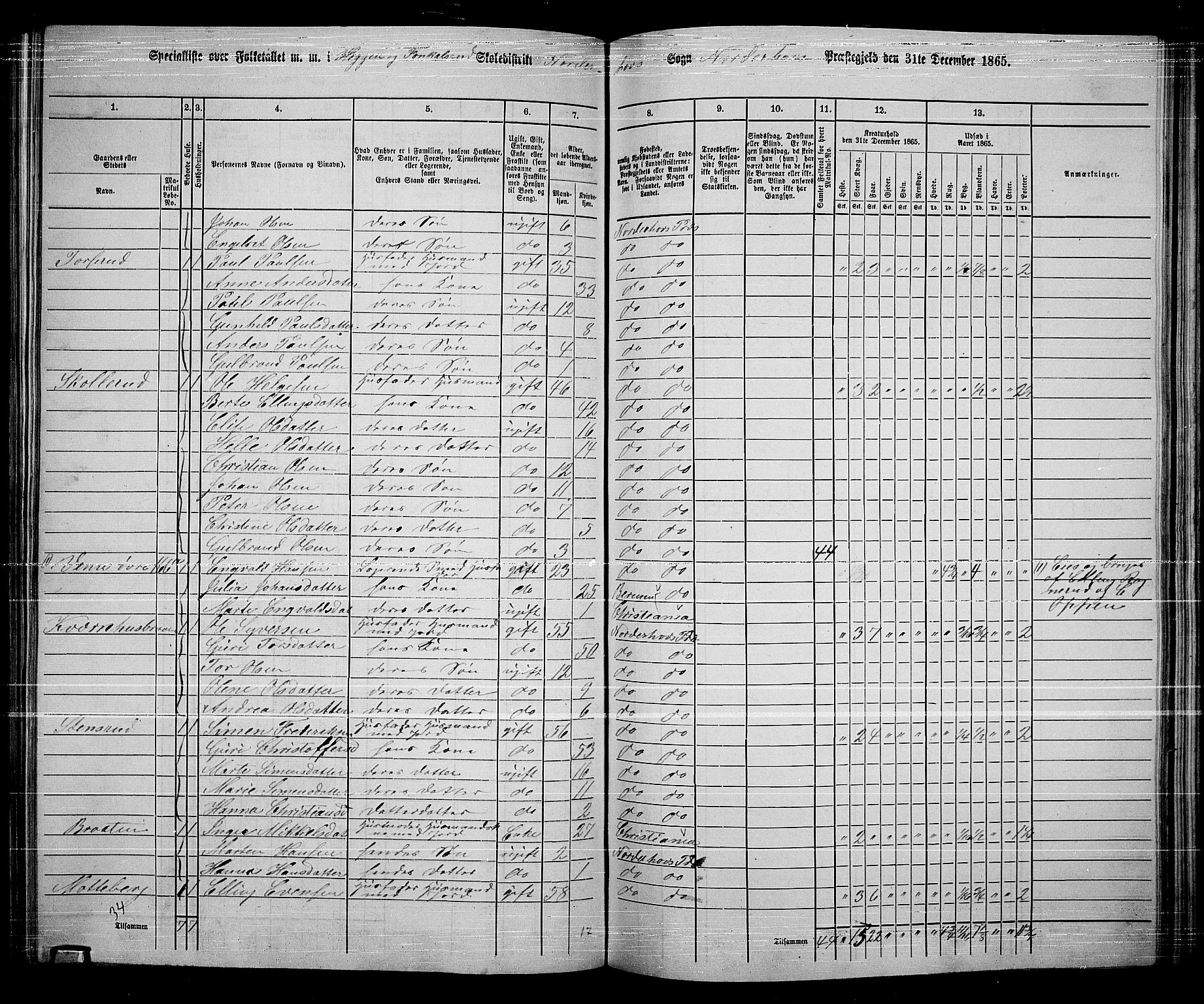 RA, Folketelling 1865 for 0613L Norderhov prestegjeld, Norderhov sokn, Haug sokn og Lunder sokn, 1865, s. 194