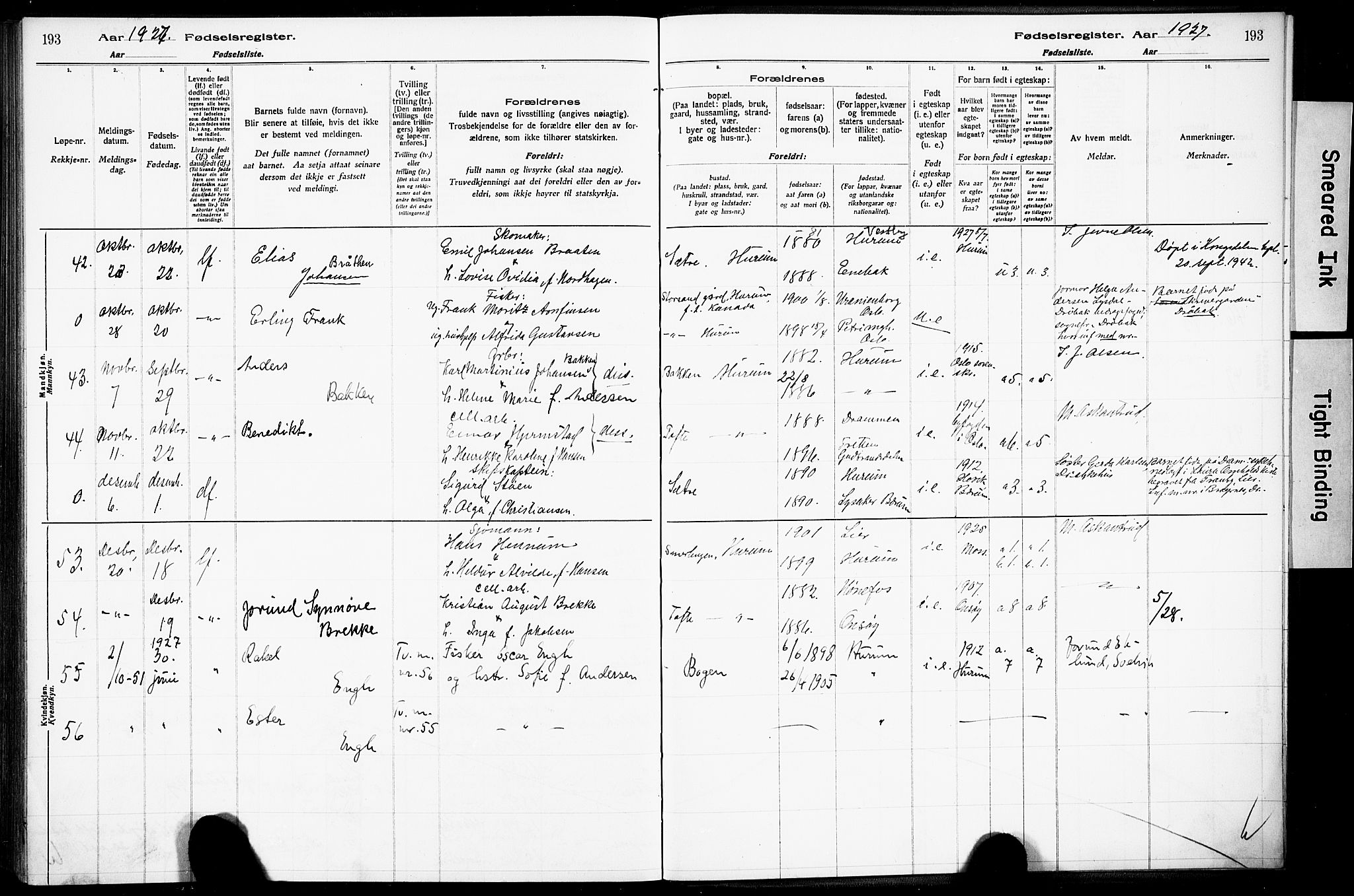 Hurum kirkebøker, AV/SAKO-A-229/J/Ja/L0001: Fødselsregister nr. 1, 1916-1928, s. 193