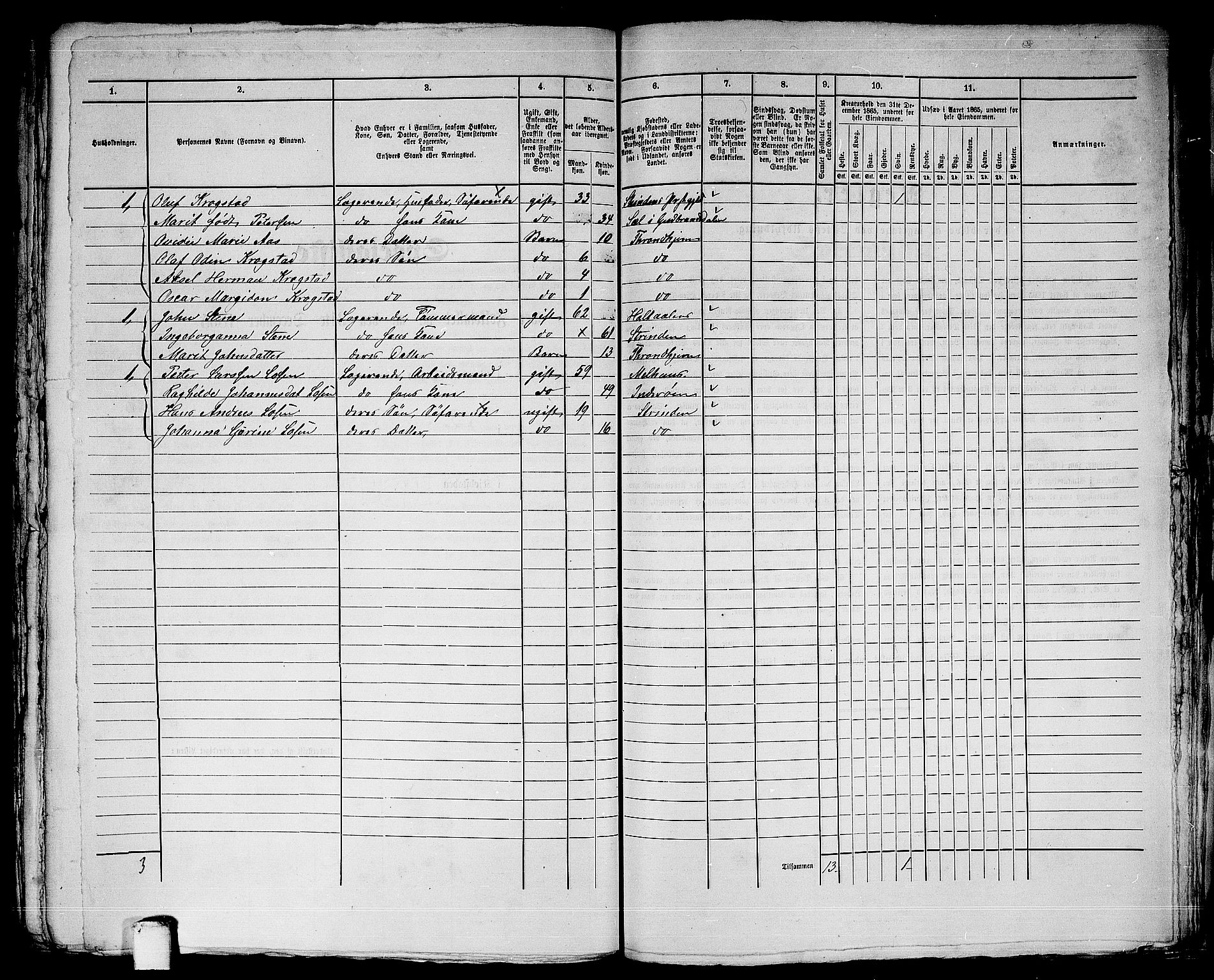 RA, Folketelling 1865 for 1601 Trondheim kjøpstad, 1865, s. 3123