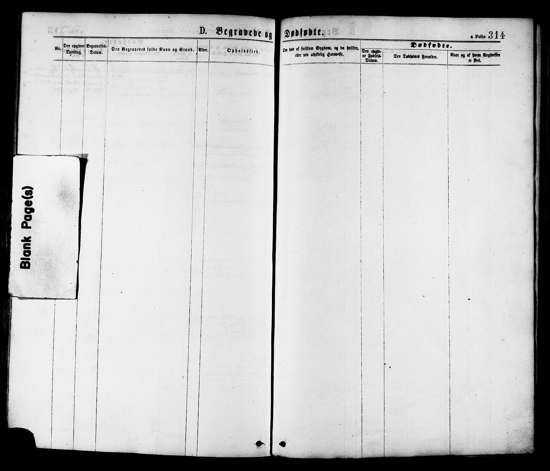 Ministerialprotokoller, klokkerbøker og fødselsregistre - Nord-Trøndelag, SAT/A-1458/780/L0642: Ministerialbok nr. 780A07 /2, 1878-1885, s. 314