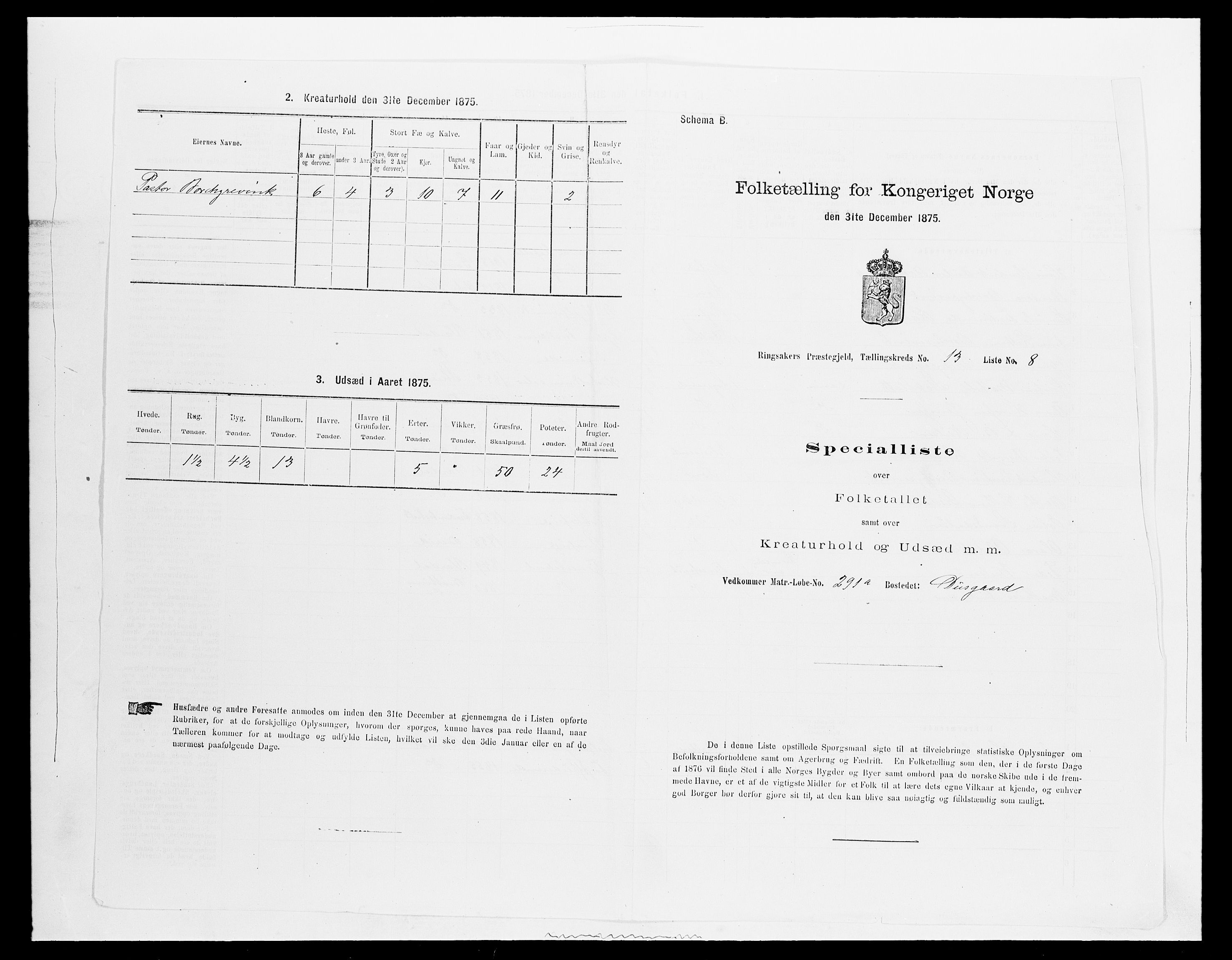 SAH, Folketelling 1875 for 0412P Ringsaker prestegjeld, 1875, s. 2623