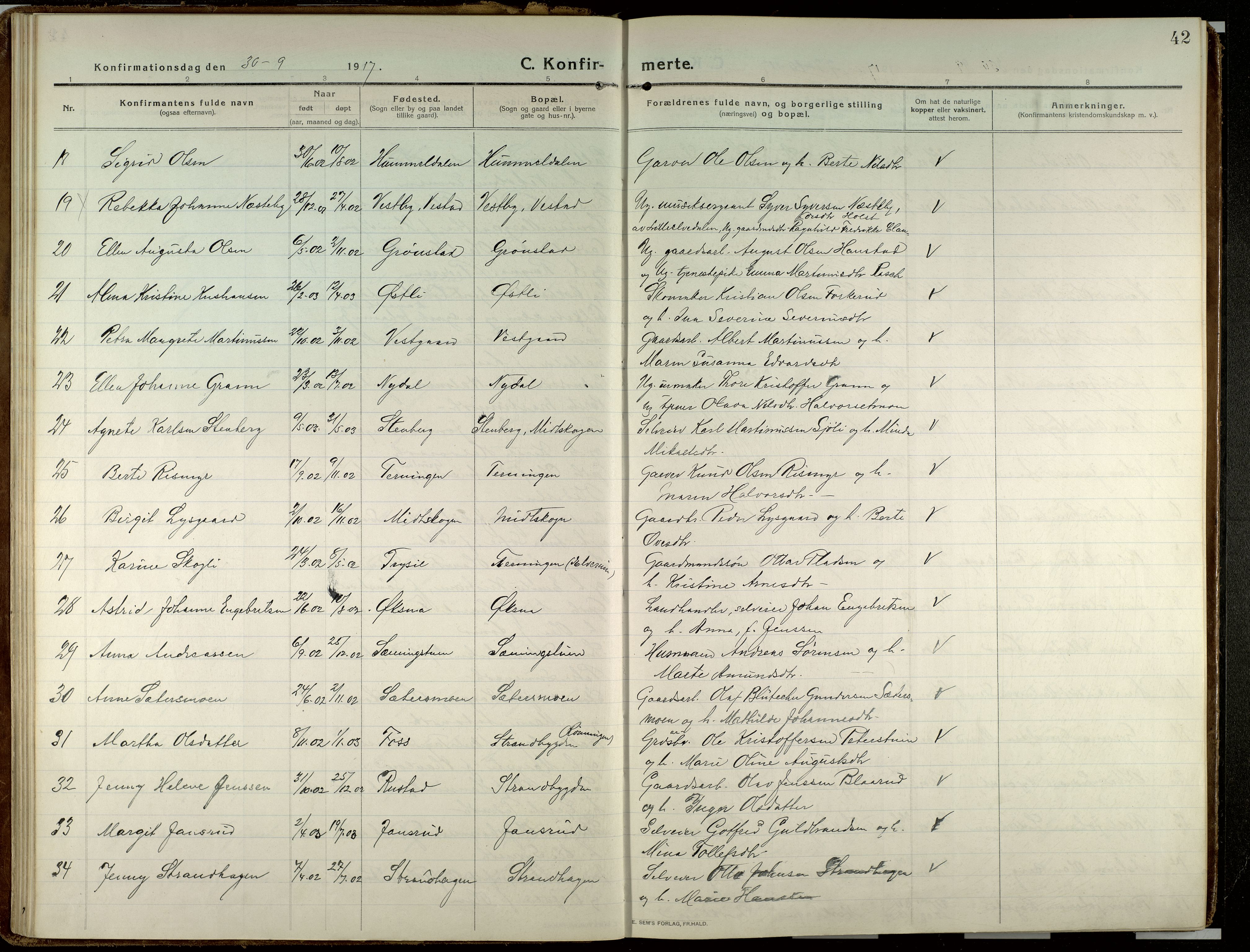 Elverum prestekontor, AV/SAH-PREST-044/H/Ha/Haa/L0023: Ministerialbok nr. 23, 1914-1929, s. 42