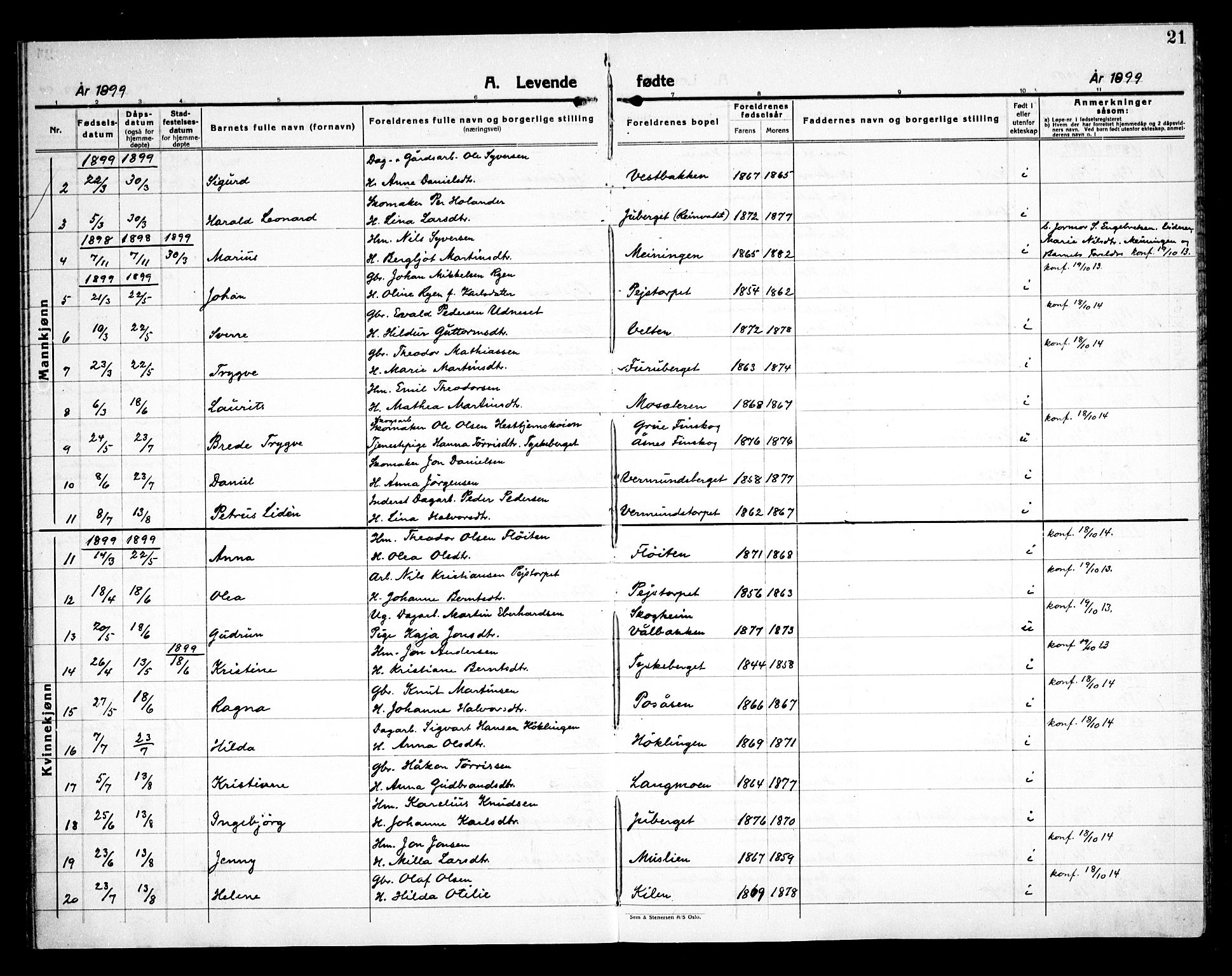 Åsnes prestekontor, AV/SAH-PREST-042/H/Ha/Haa/L0000E: Ministerialbok nr. 0C, 1890-1929, s. 21