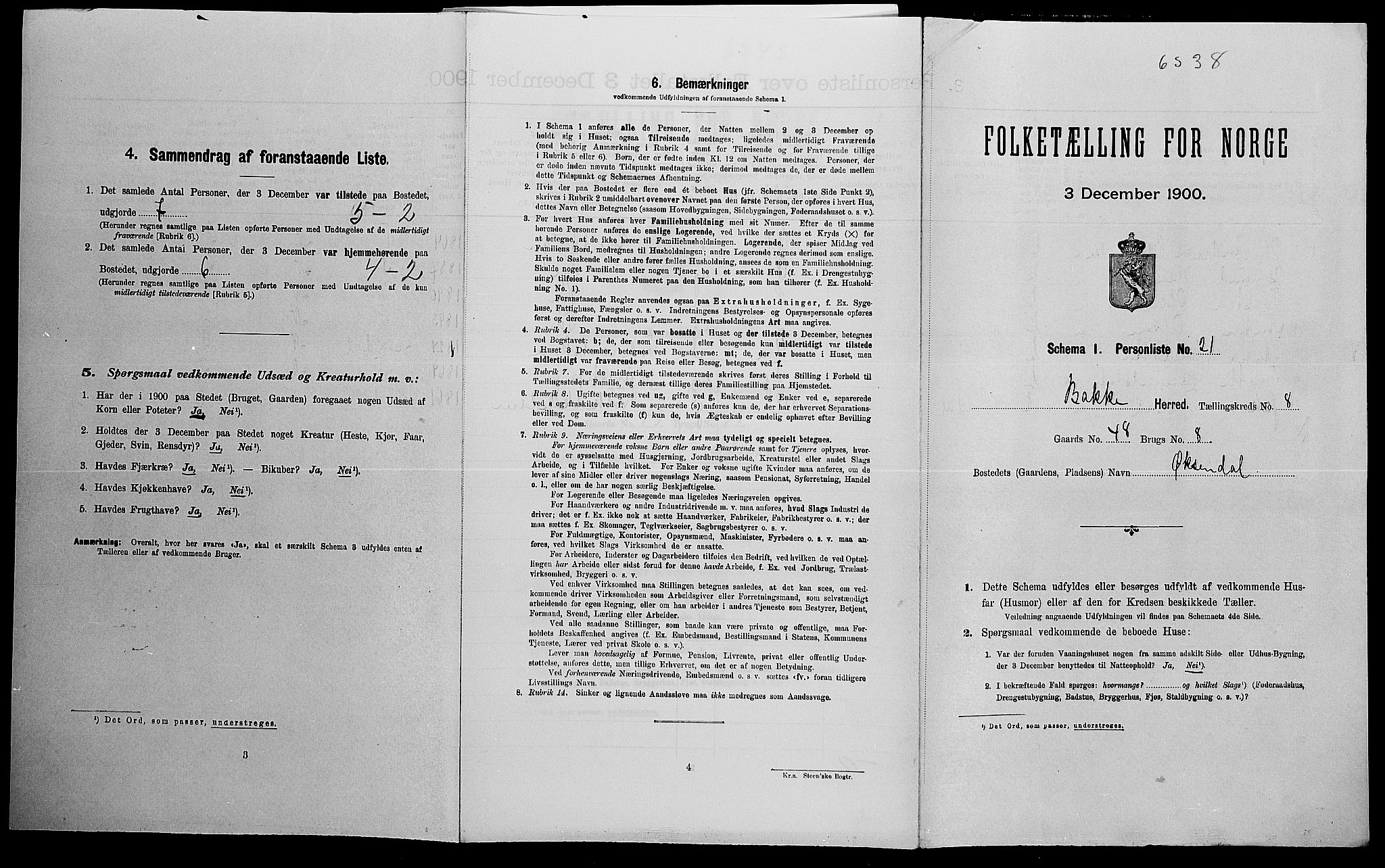 SAK, Folketelling 1900 for 1045 Bakke herred, 1900, s. 443