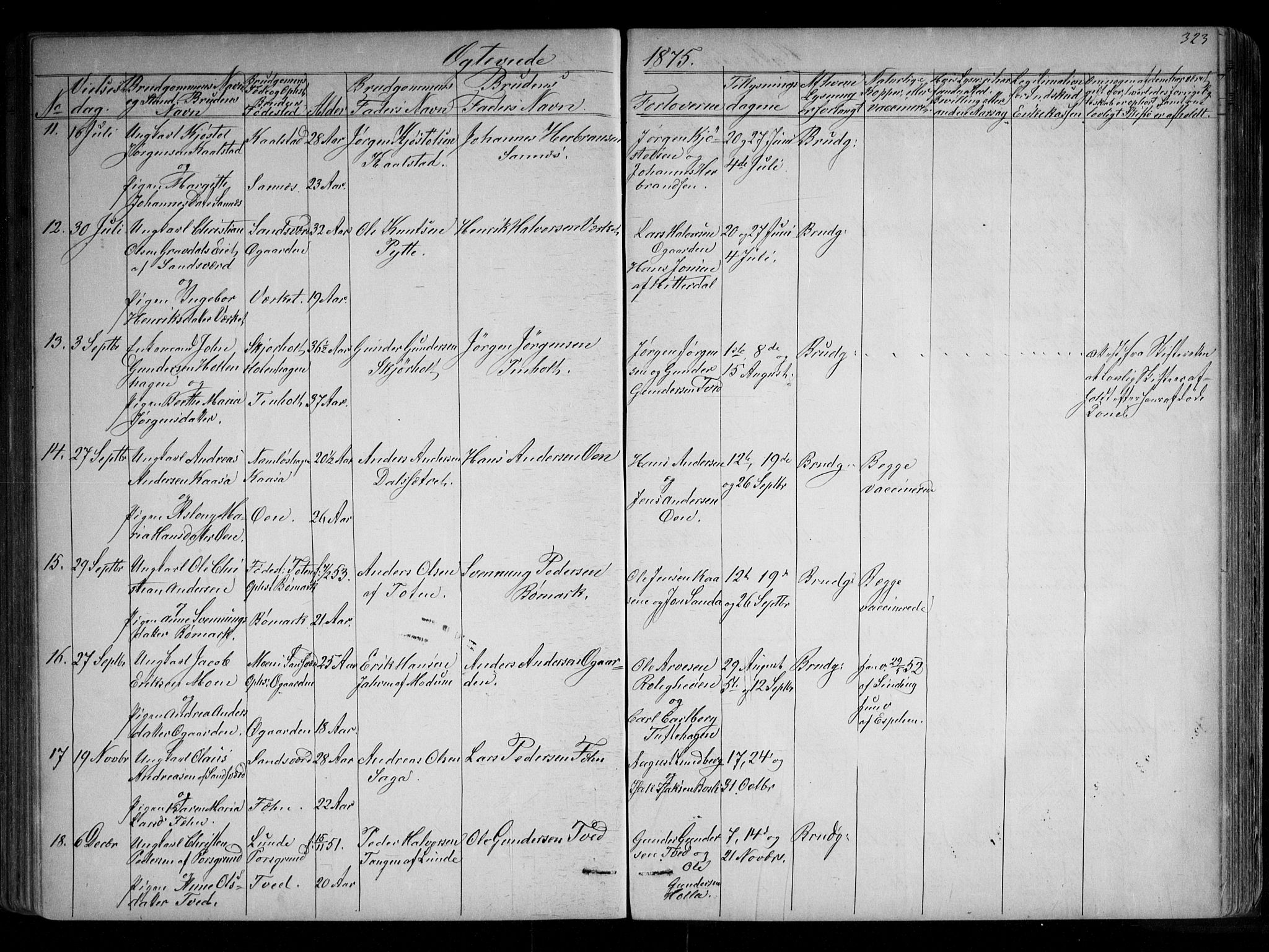 Holla kirkebøker, AV/SAKO-A-272/G/Ga/L0004: Klokkerbok nr. I 4, 1867-1890, s. 323