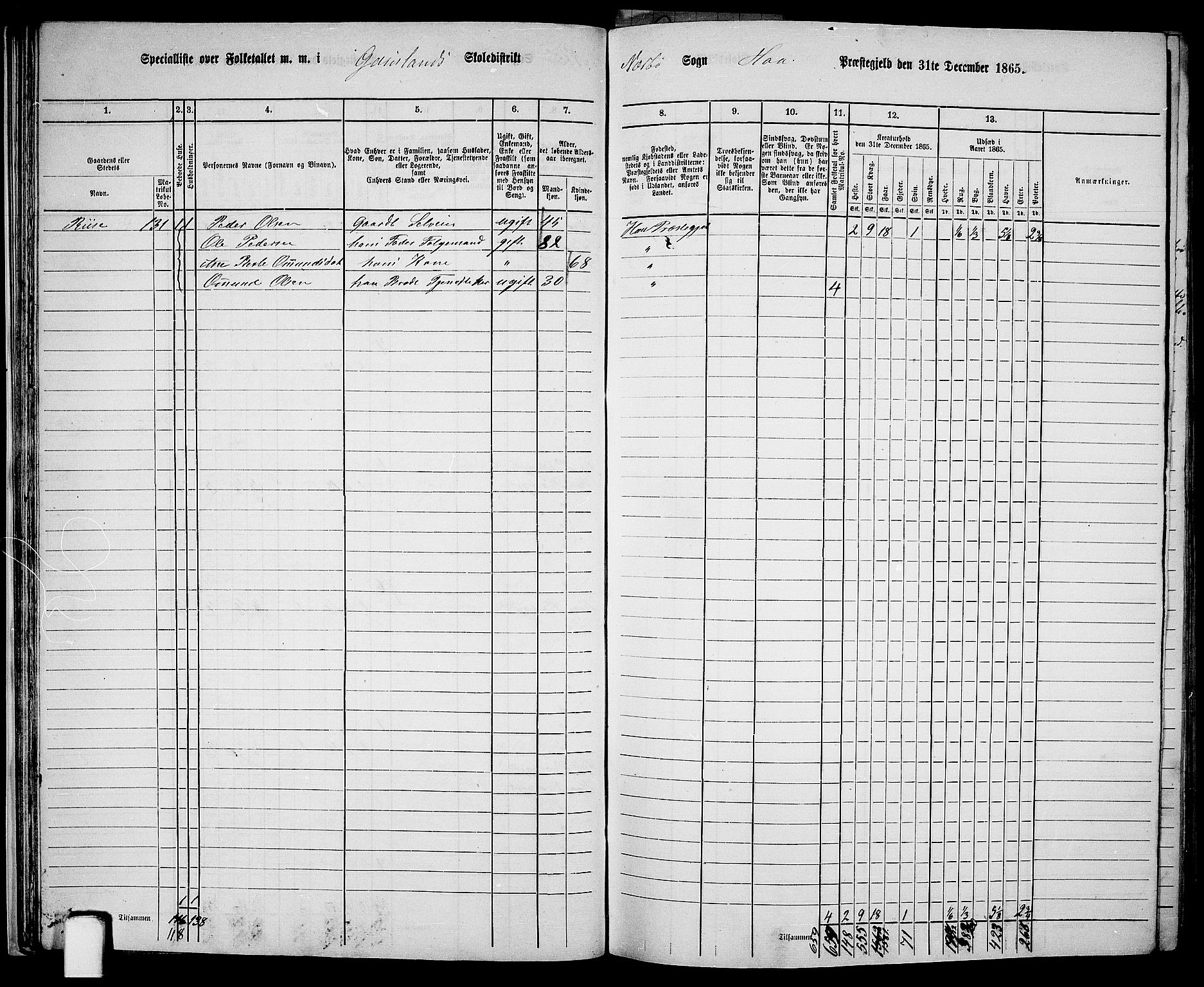 RA, Folketelling 1865 for 1119P Hå prestegjeld, 1865, s. 33