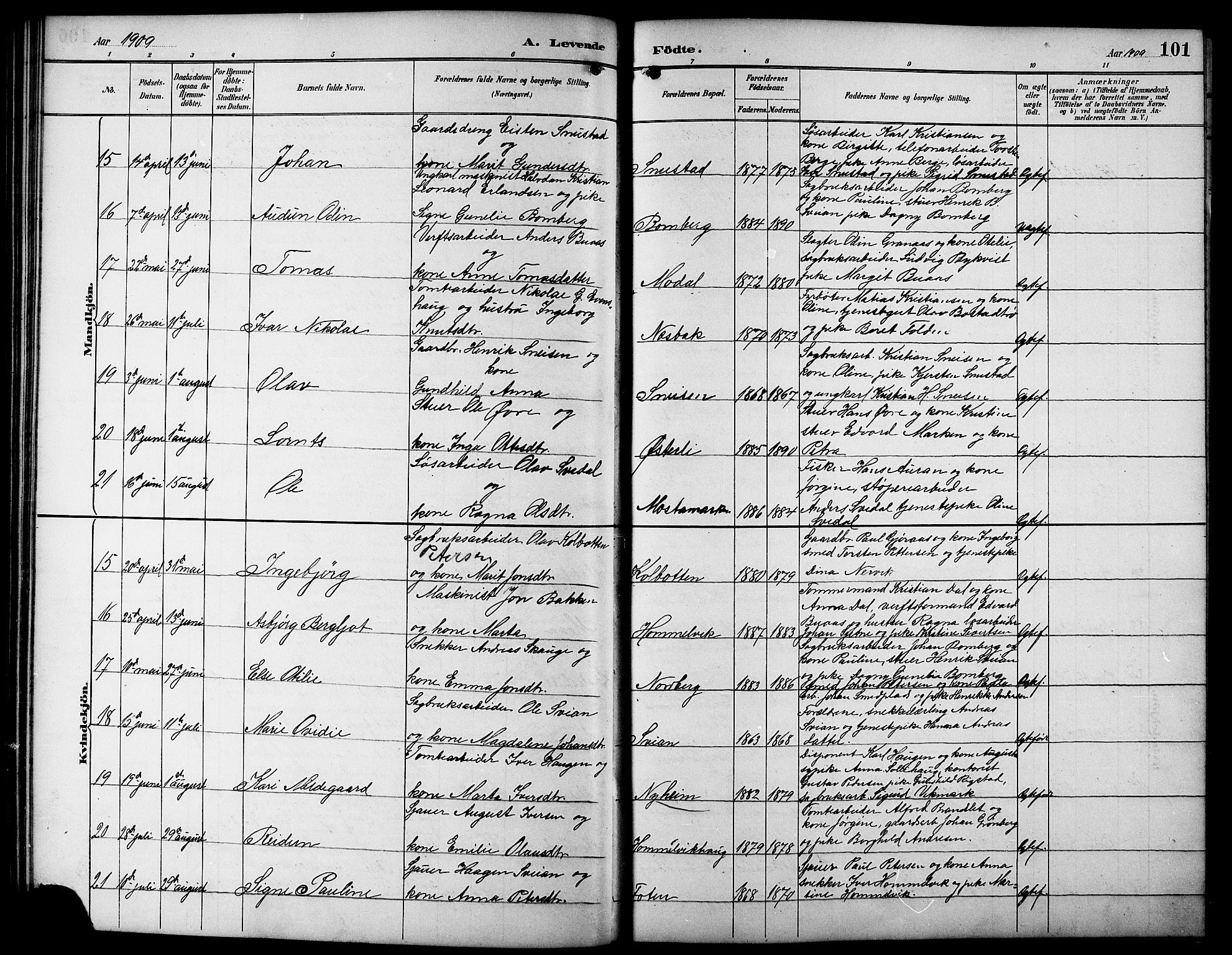 Ministerialprotokoller, klokkerbøker og fødselsregistre - Sør-Trøndelag, SAT/A-1456/617/L0431: Klokkerbok nr. 617C01, 1889-1910, s. 101