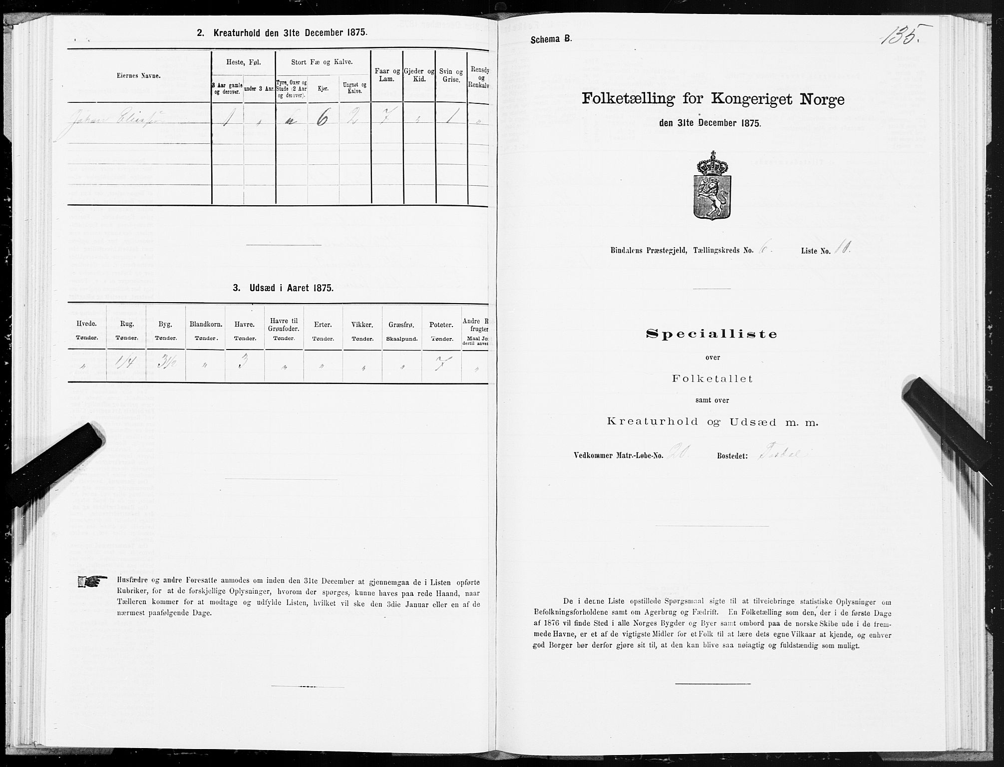 SAT, Folketelling 1875 for 1811P Bindal prestegjeld, 1875, s. 2135