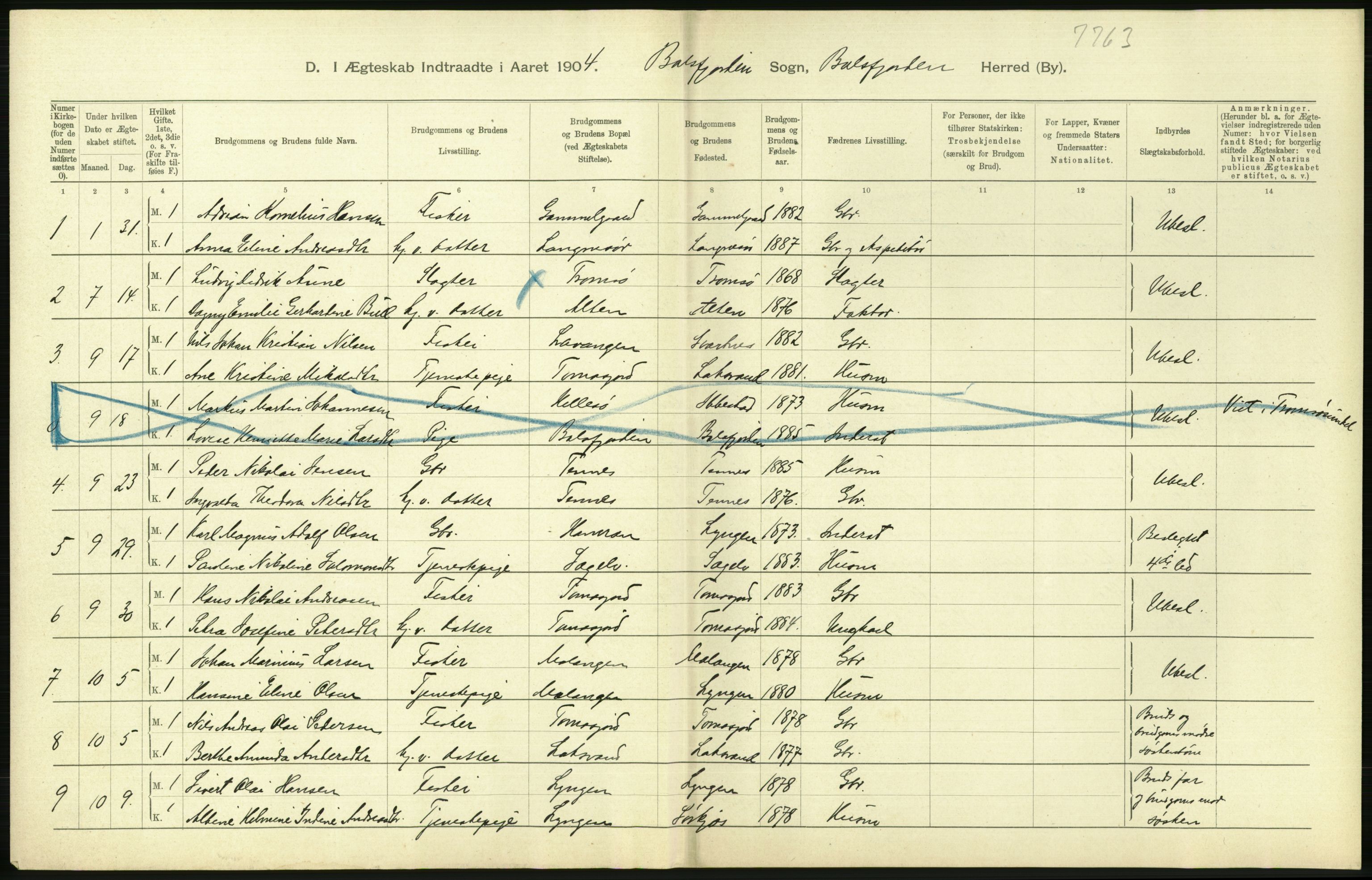 Statistisk sentralbyrå, Sosiodemografiske emner, Befolkning, AV/RA-S-2228/D/Df/Dfa/Dfab/L0022: Tromsø amt: Fødte, gifte, døde, 1904, s. 312