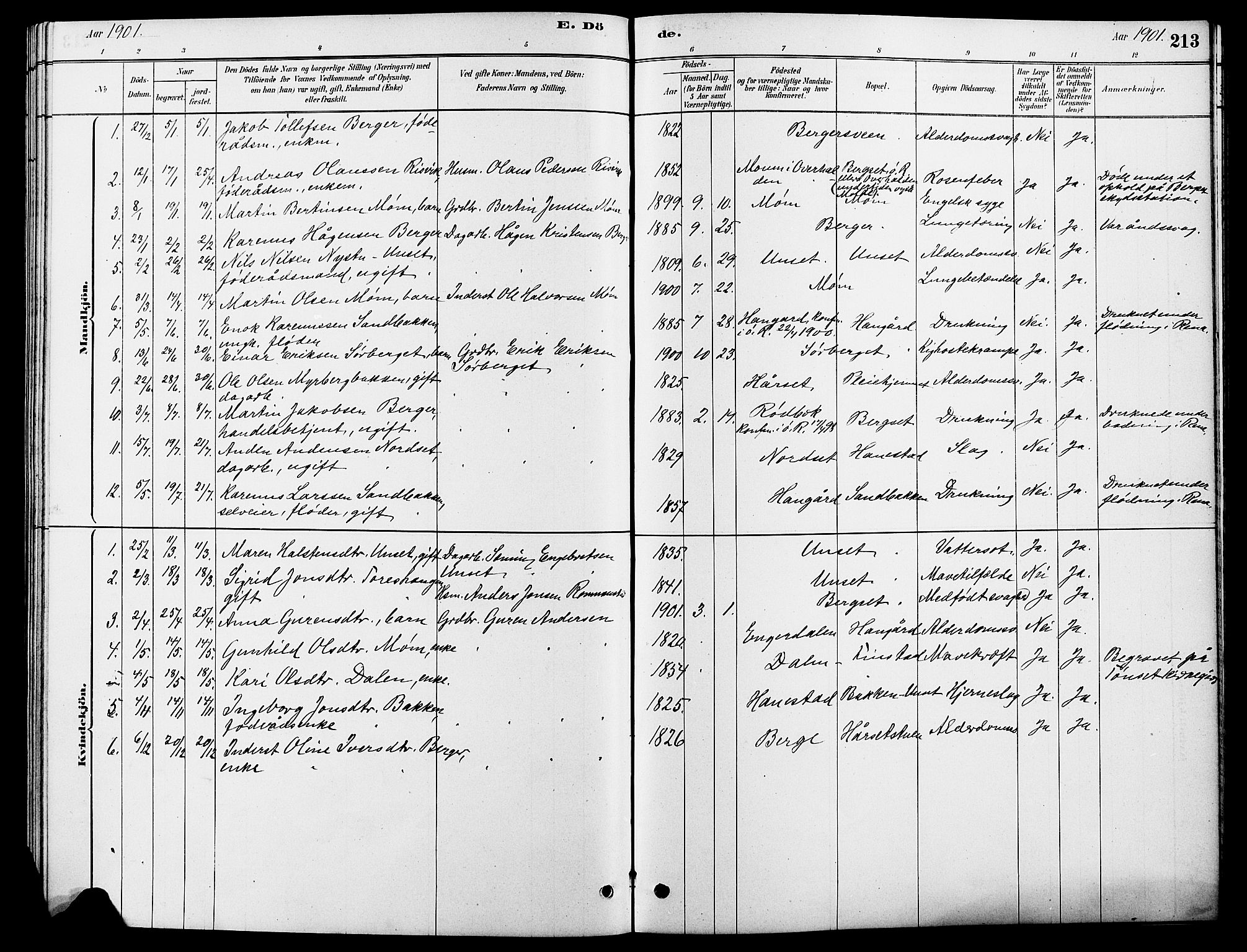 Rendalen prestekontor, AV/SAH-PREST-054/H/Ha/Hab/L0003: Klokkerbok nr. 3, 1879-1904, s. 213