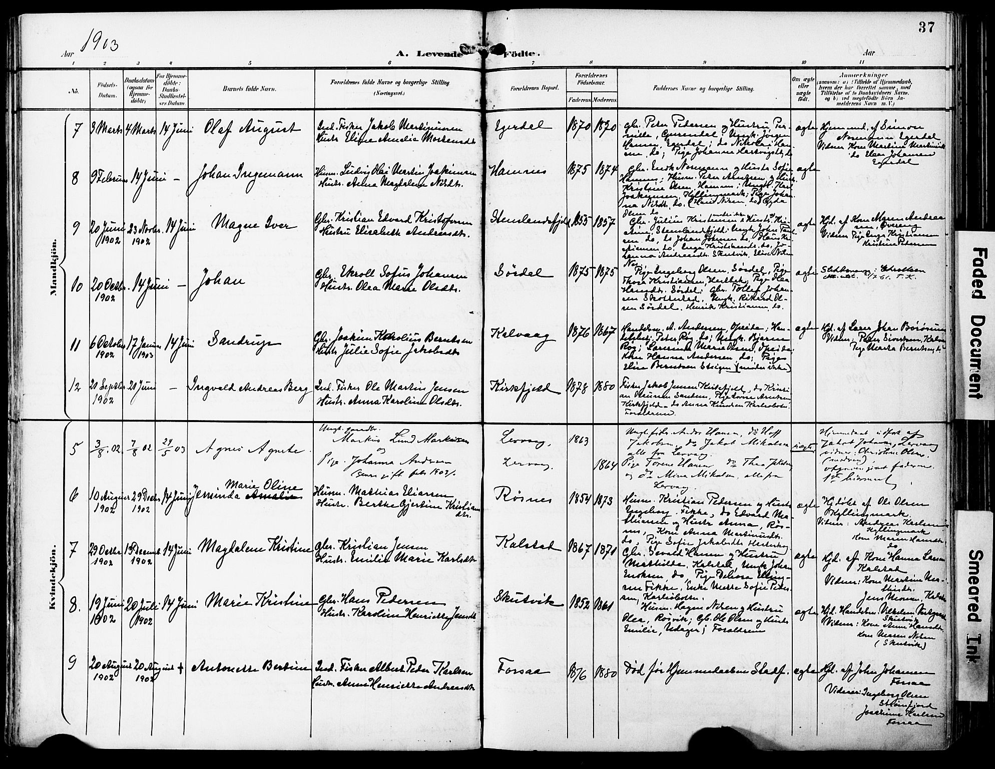 Ministerialprotokoller, klokkerbøker og fødselsregistre - Nordland, AV/SAT-A-1459/859/L0848: Ministerialbok nr. 859A08, 1900-1912, s. 37