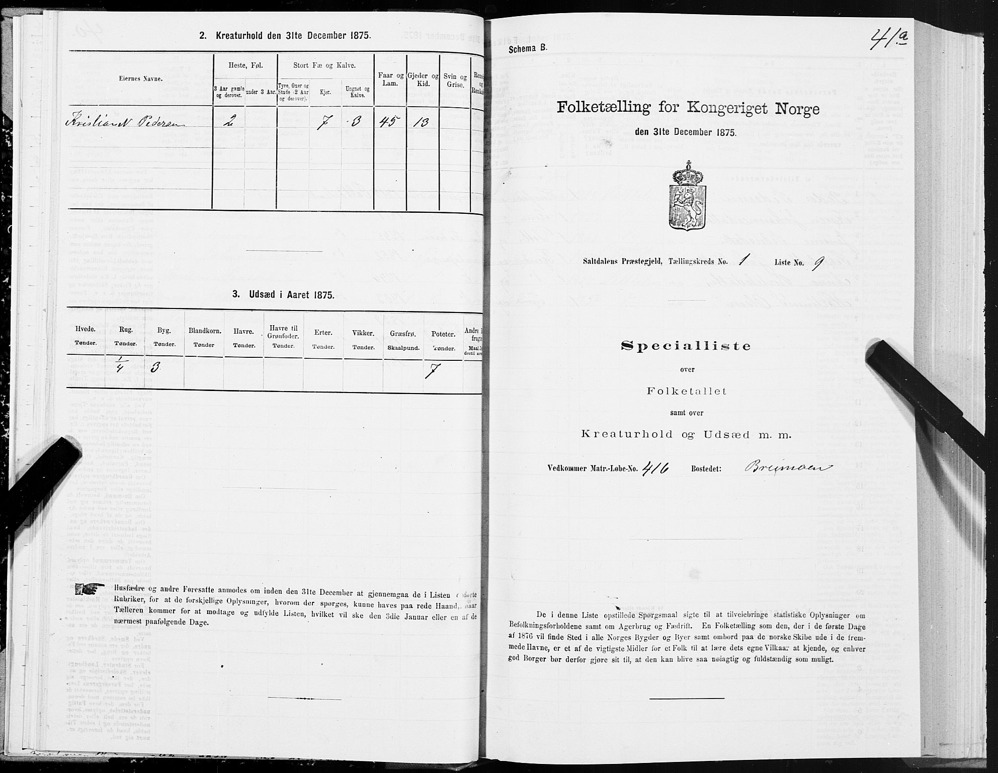 SAT, Folketelling 1875 for 1840P Saltdal prestegjeld, 1875, s. 1041a