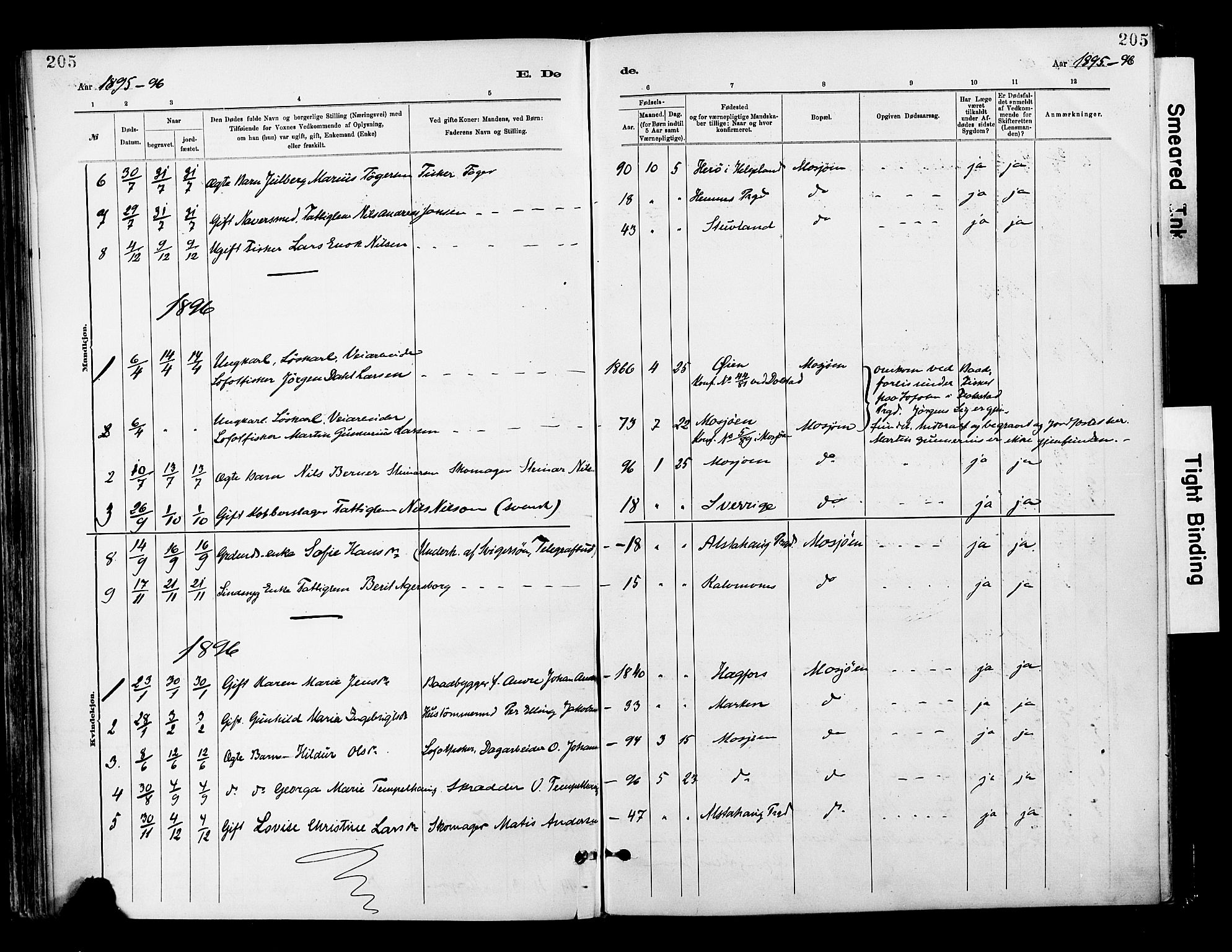 Ministerialprotokoller, klokkerbøker og fødselsregistre - Nordland, AV/SAT-A-1459/820/L0296: Ministerialbok nr. 820A17, 1880-1903, s. 205