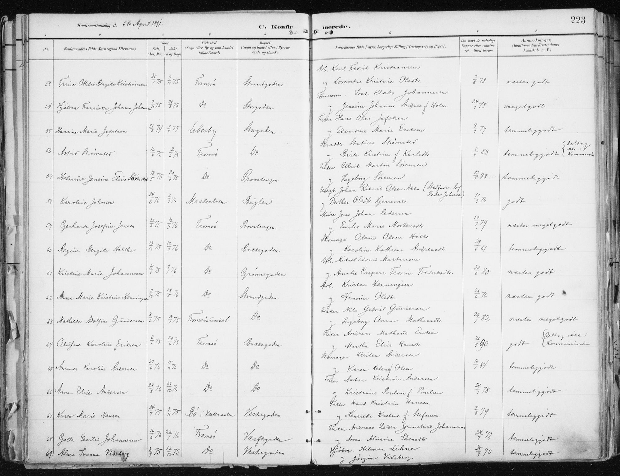 Tromsø sokneprestkontor/stiftsprosti/domprosti, AV/SATØ-S-1343/G/Ga/L0015kirke: Ministerialbok nr. 15, 1889-1899, s. 223