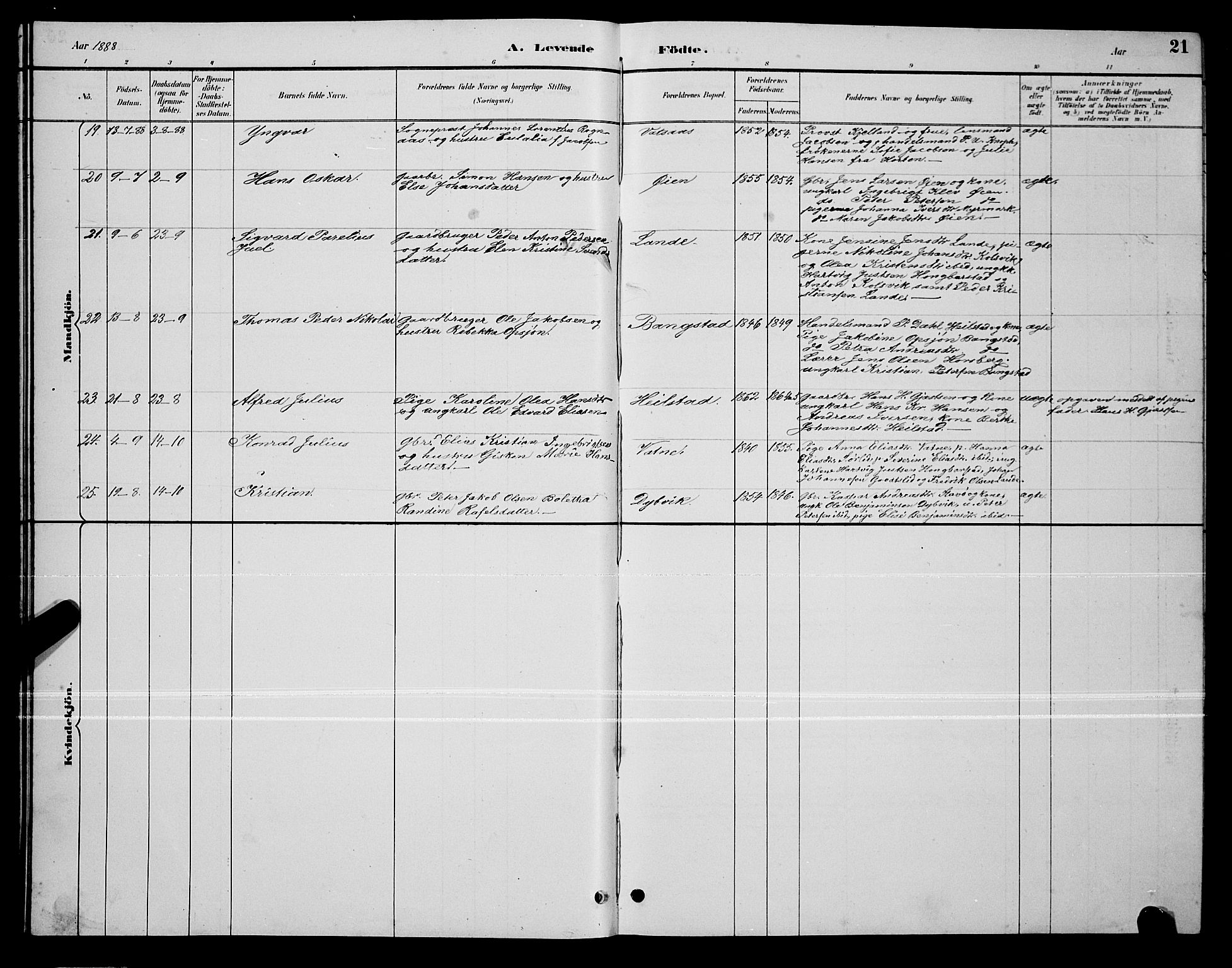 Ministerialprotokoller, klokkerbøker og fødselsregistre - Nordland, AV/SAT-A-1459/810/L0160: Klokkerbok nr. 810C03, 1884-1896, s. 21