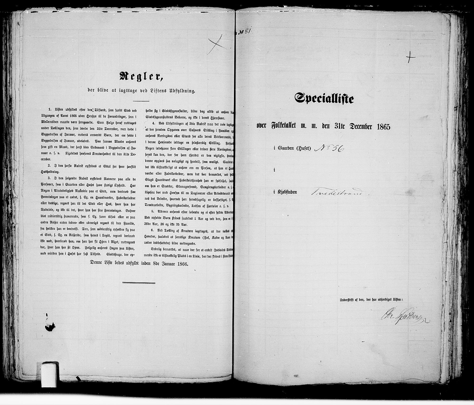RA, Folketelling 1865 for 0902B Holt prestegjeld, Tvedestrand ladested, 1865, s. 167