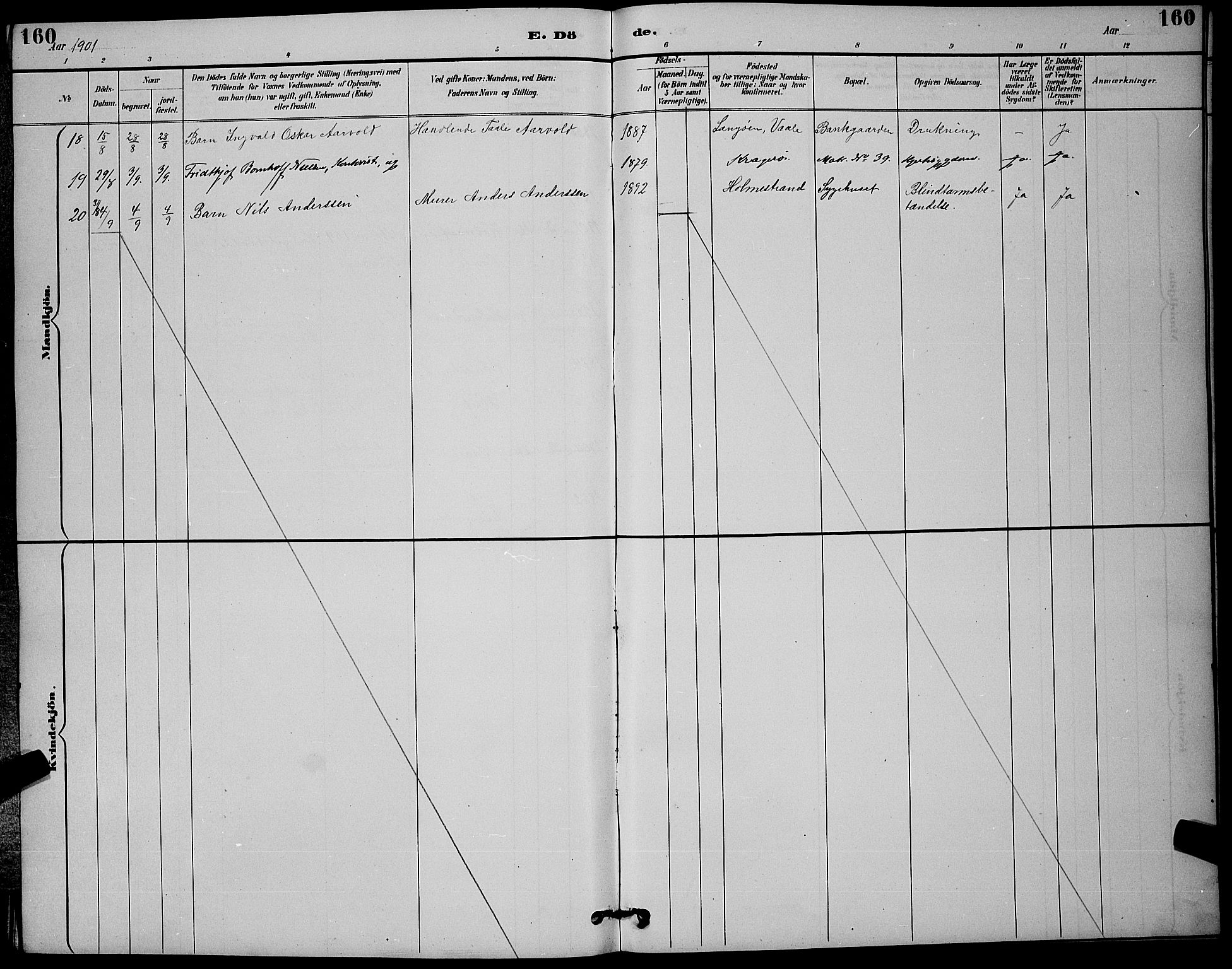 Holmestrand kirkebøker, AV/SAKO-A-346/G/Ga/L0005: Klokkerbok nr. 5, 1889-1901, s. 160