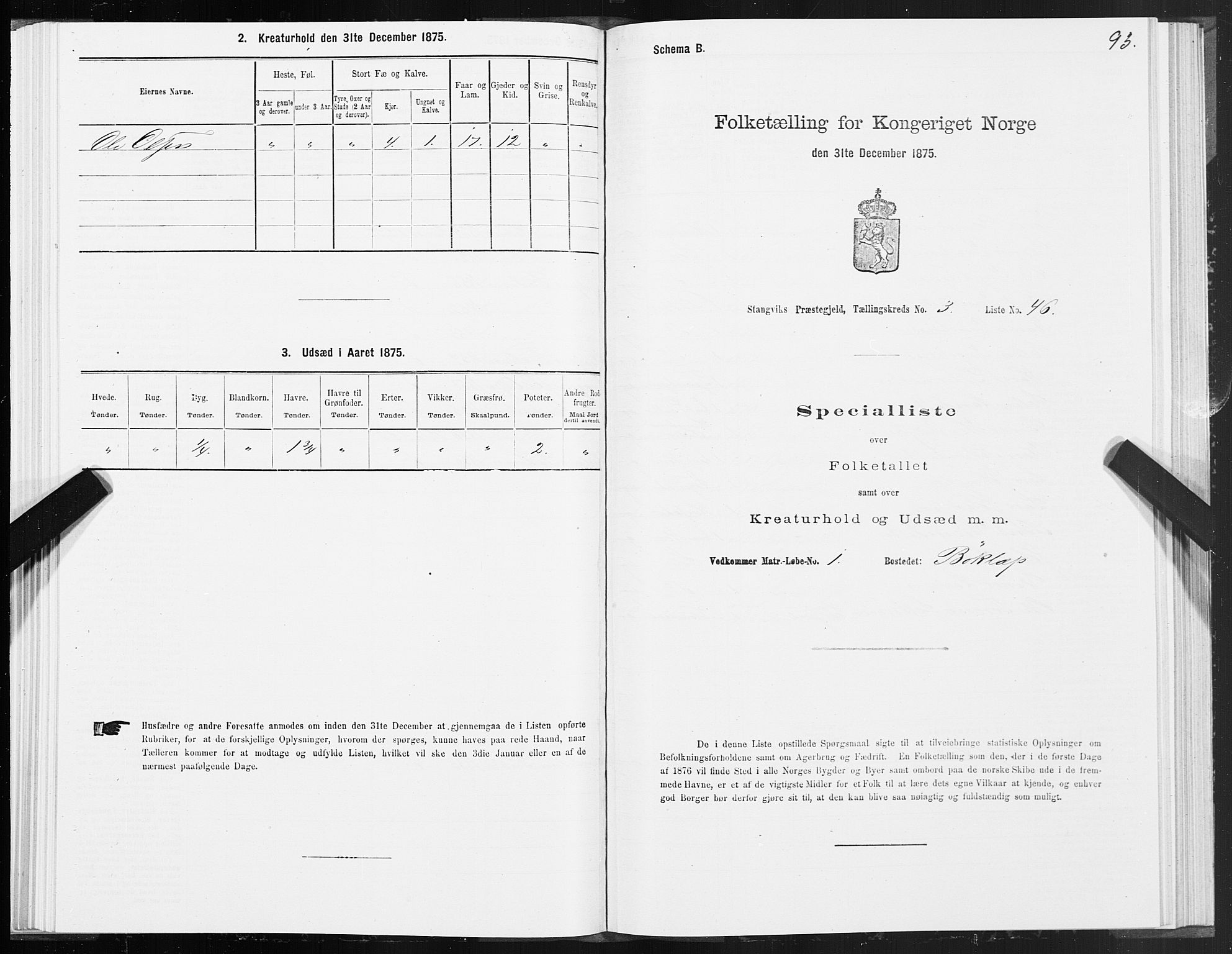 SAT, Folketelling 1875 for 1564P Stangvik prestegjeld, 1875, s. 2093