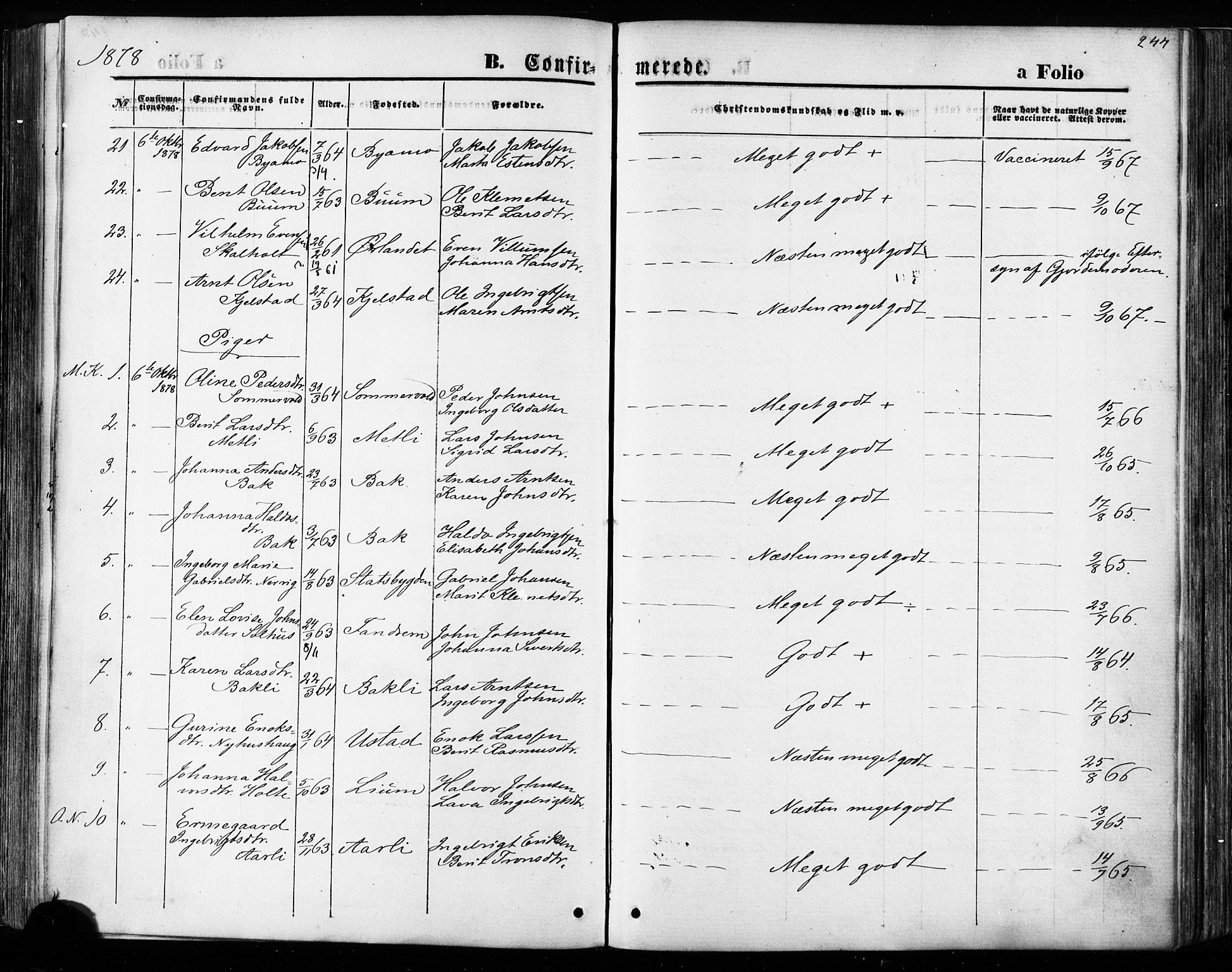Ministerialprotokoller, klokkerbøker og fødselsregistre - Sør-Trøndelag, SAT/A-1456/668/L0807: Ministerialbok nr. 668A07, 1870-1880, s. 244