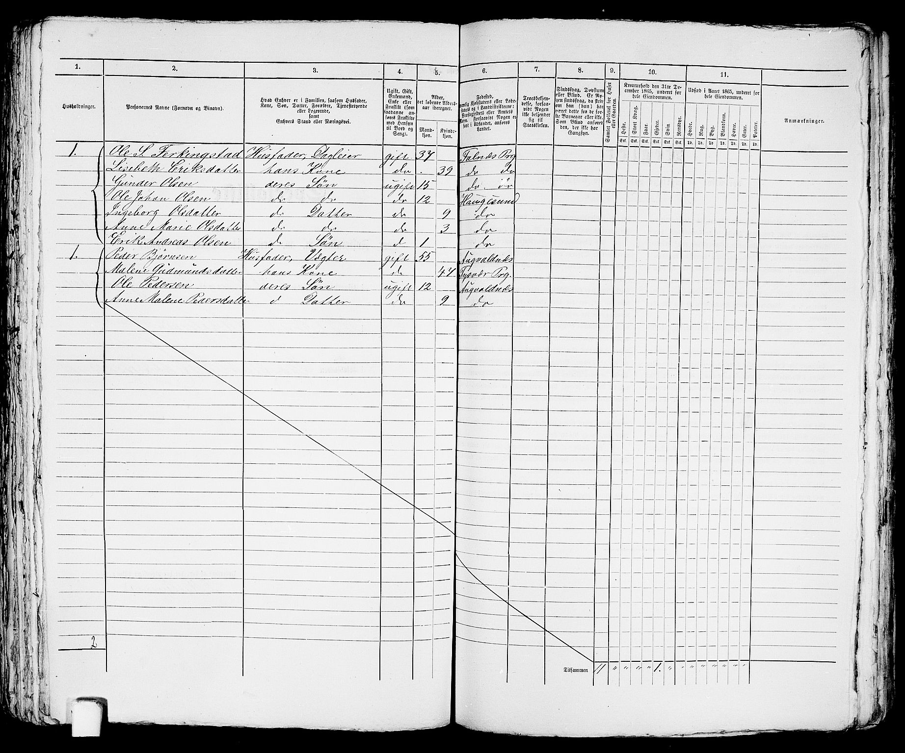 RA, Folketelling 1865 for 1106B Torvastad prestegjeld, Haugesund ladested, 1865, s. 451