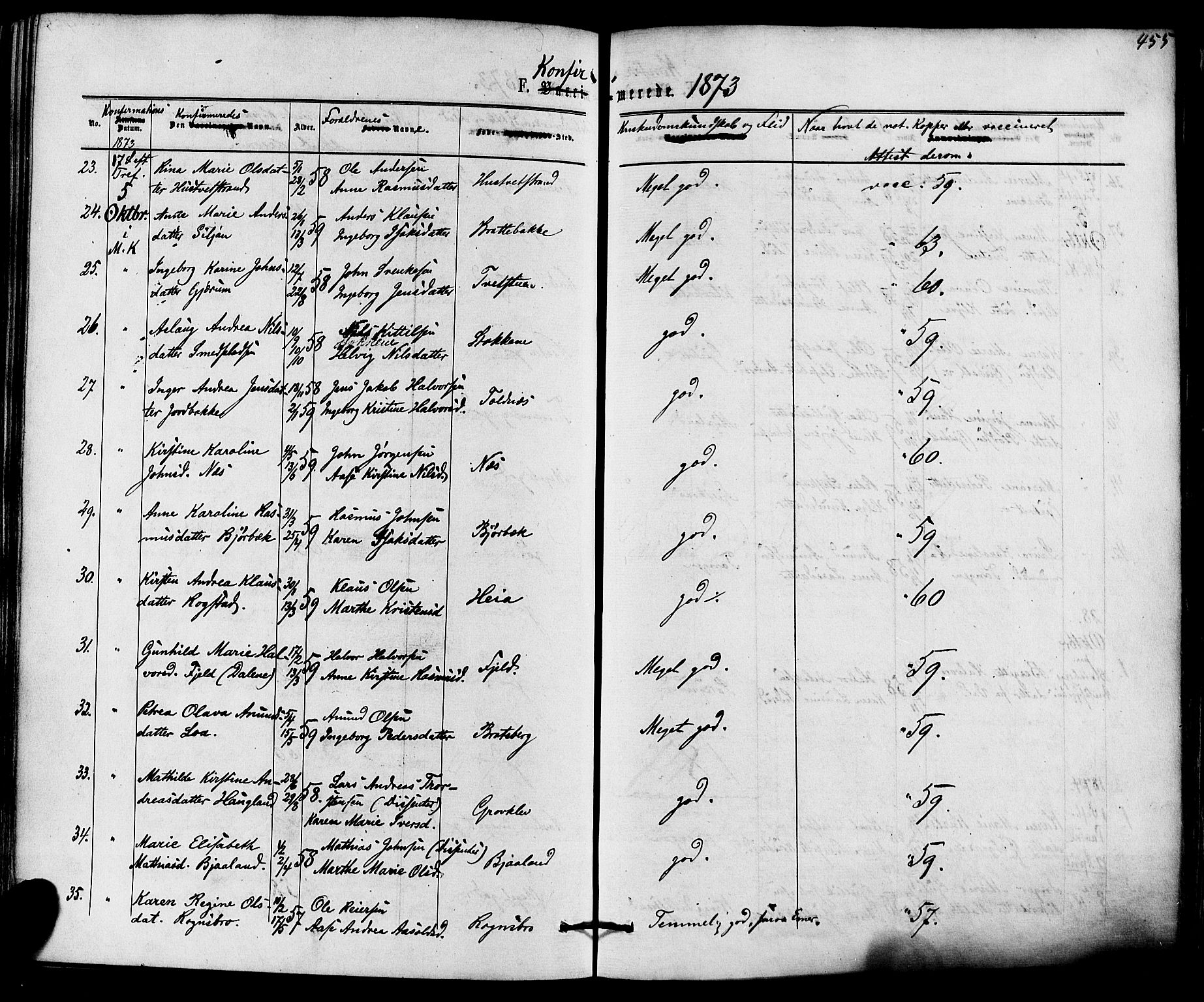 Solum kirkebøker, AV/SAKO-A-306/F/Fa/L0008: Ministerialbok nr. I 8, 1865-1876, s. 455