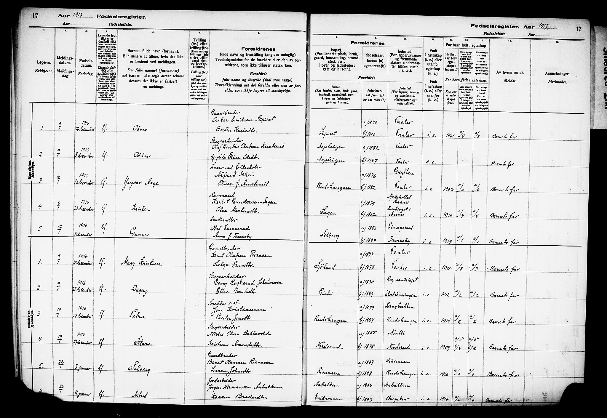 Våler prestekontor, Hedmark, SAH/PREST-040/I/Id/L0001: Fødselsregister nr. 1, 1916-1930, s. 17