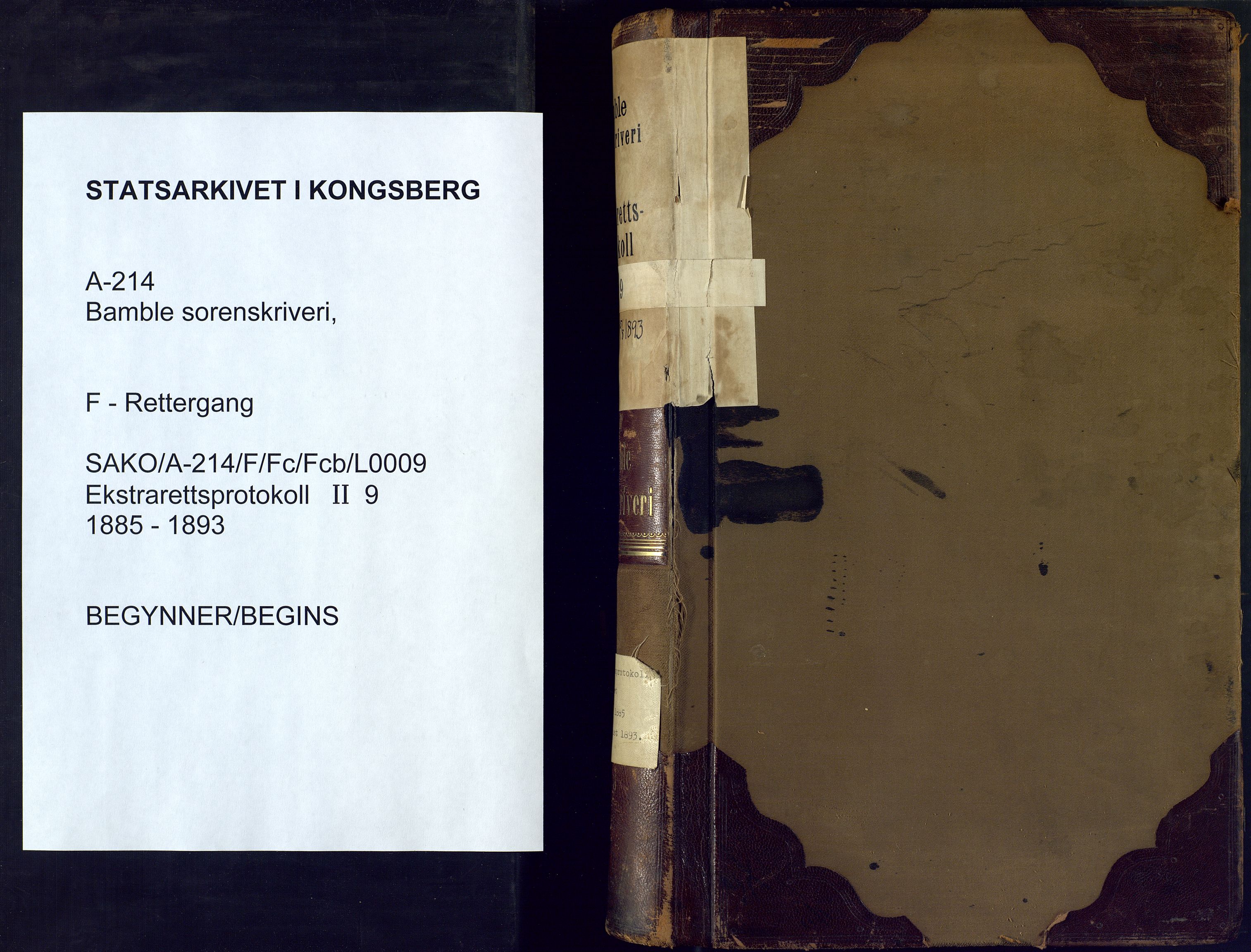 Bamble sorenskriveri, SAKO/A-214/F/Fc/Fcb/L0009: Ekstrarettprotokoll, 1885-1893