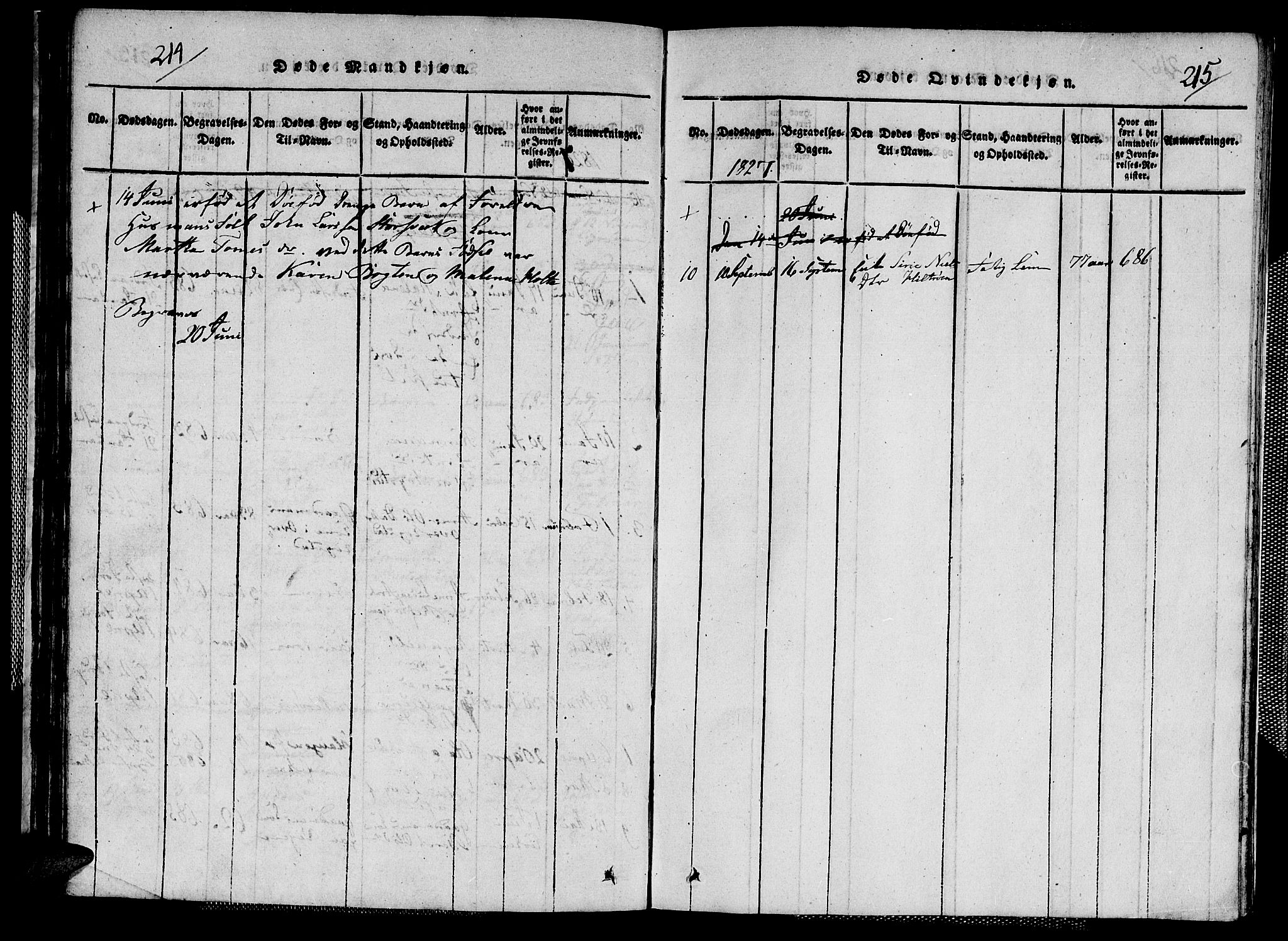 Ministerialprotokoller, klokkerbøker og fødselsregistre - Nord-Trøndelag, AV/SAT-A-1458/713/L0124: Klokkerbok nr. 713C01, 1817-1827, s. 214-215