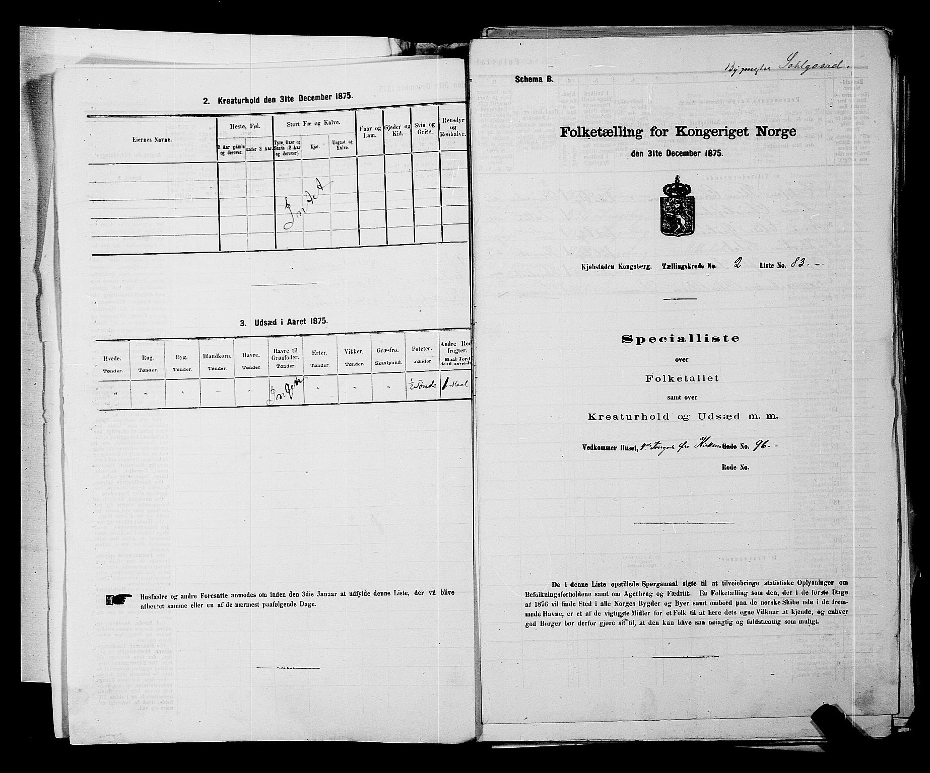 SAKO, Folketelling 1875 for 0604B Kongsberg prestegjeld, Kongsberg kjøpstad, 1875, s. 214