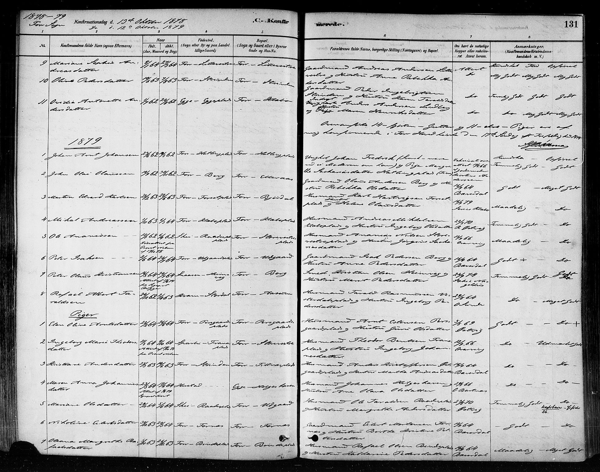 Ministerialprotokoller, klokkerbøker og fødselsregistre - Nord-Trøndelag, AV/SAT-A-1458/746/L0448: Ministerialbok nr. 746A07 /1, 1878-1900, s. 131