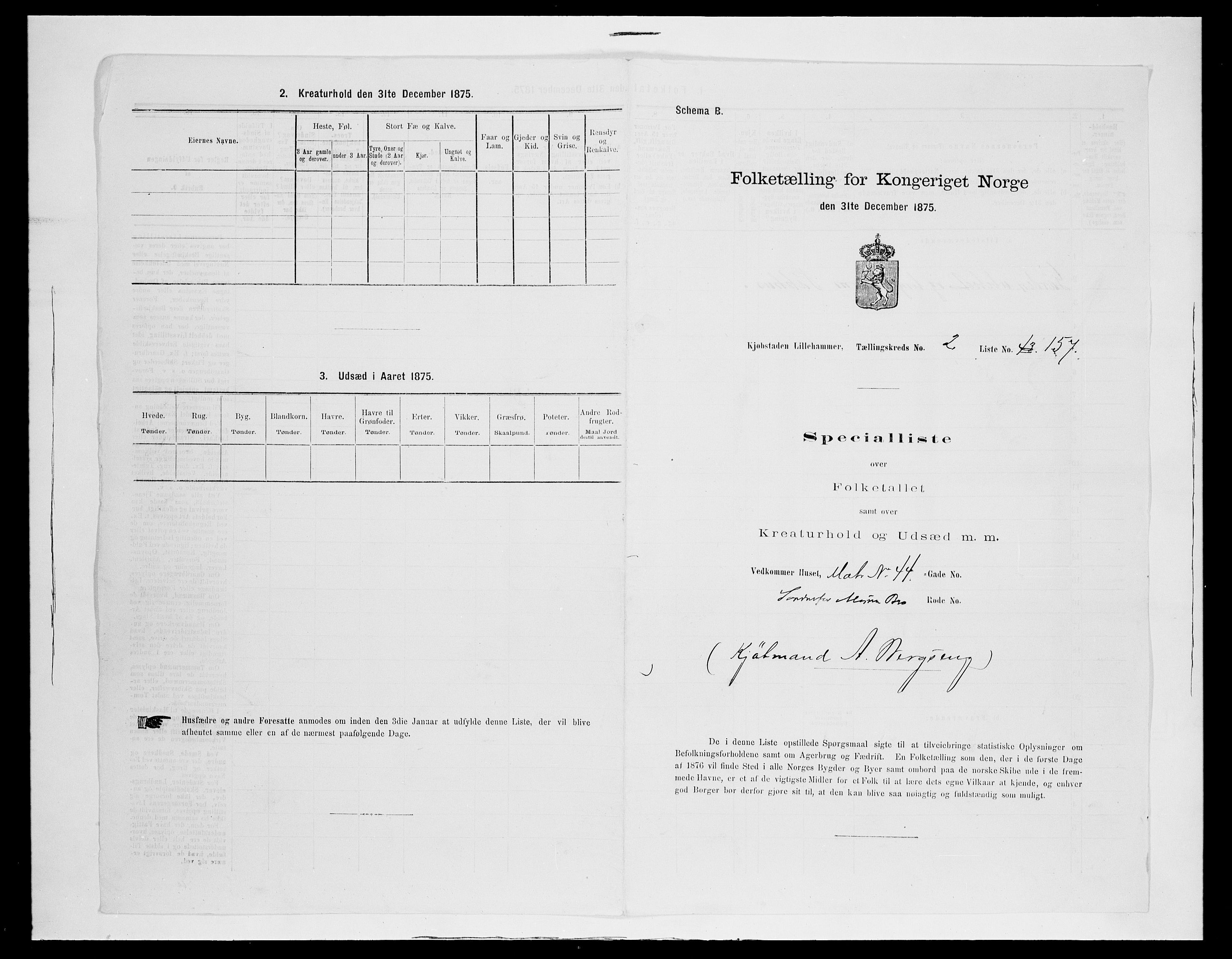 SAH, Folketelling 1875 for 0501B Fåberg prestegjeld, Lillehammer kjøpstad, 1875, s. 349