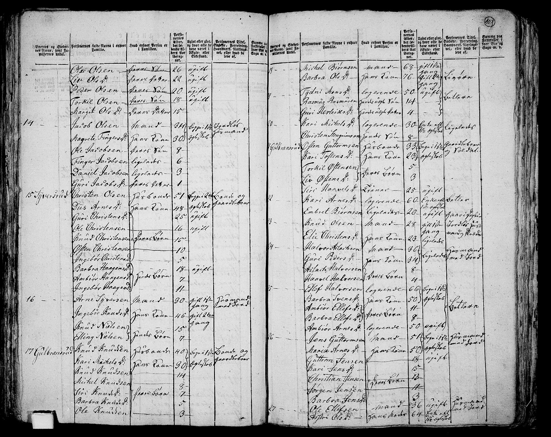 RA, Folketelling 1801 for 0616P Nes prestegjeld, 1801, s. 100b-101a