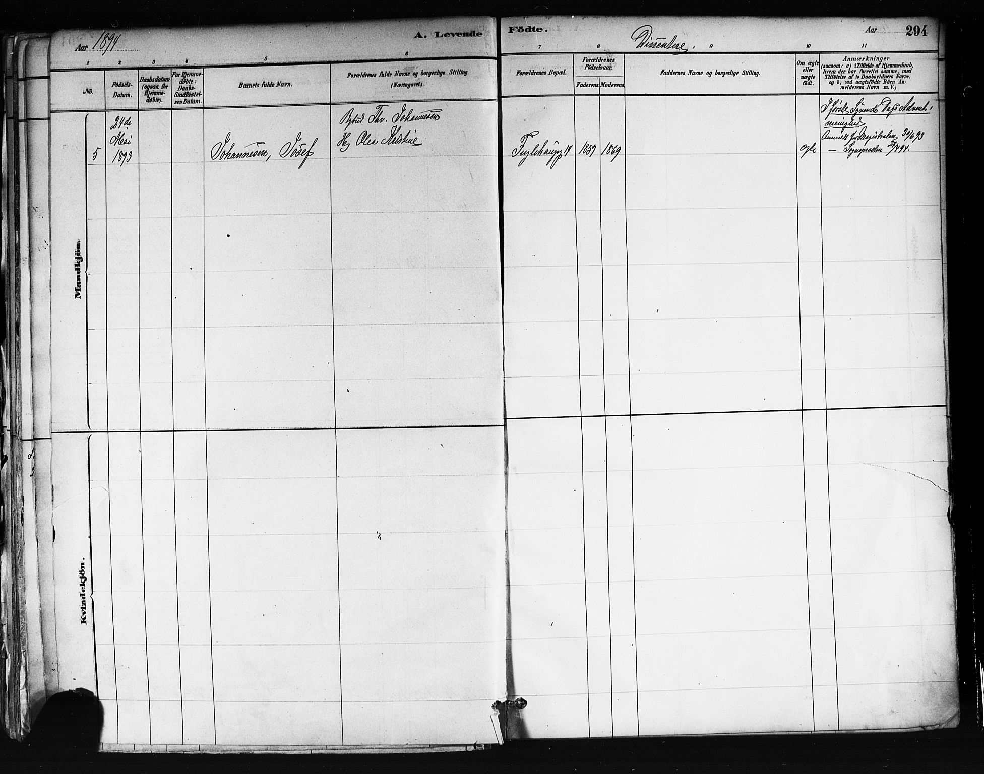 Uranienborg prestekontor Kirkebøker, AV/SAO-A-10877/F/Fa/L0001: Ministerialbok nr. I 1, 1880-1895, s. 294