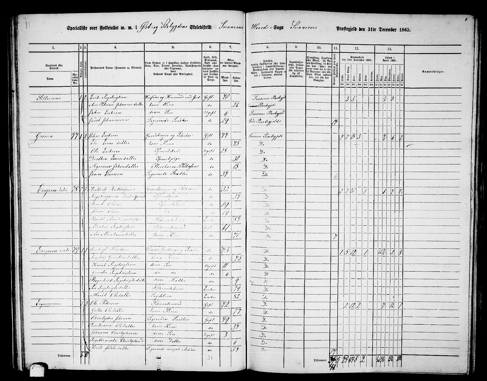 RA, Folketelling 1865 for 1736P Snåsa prestegjeld, 1865, s. 43