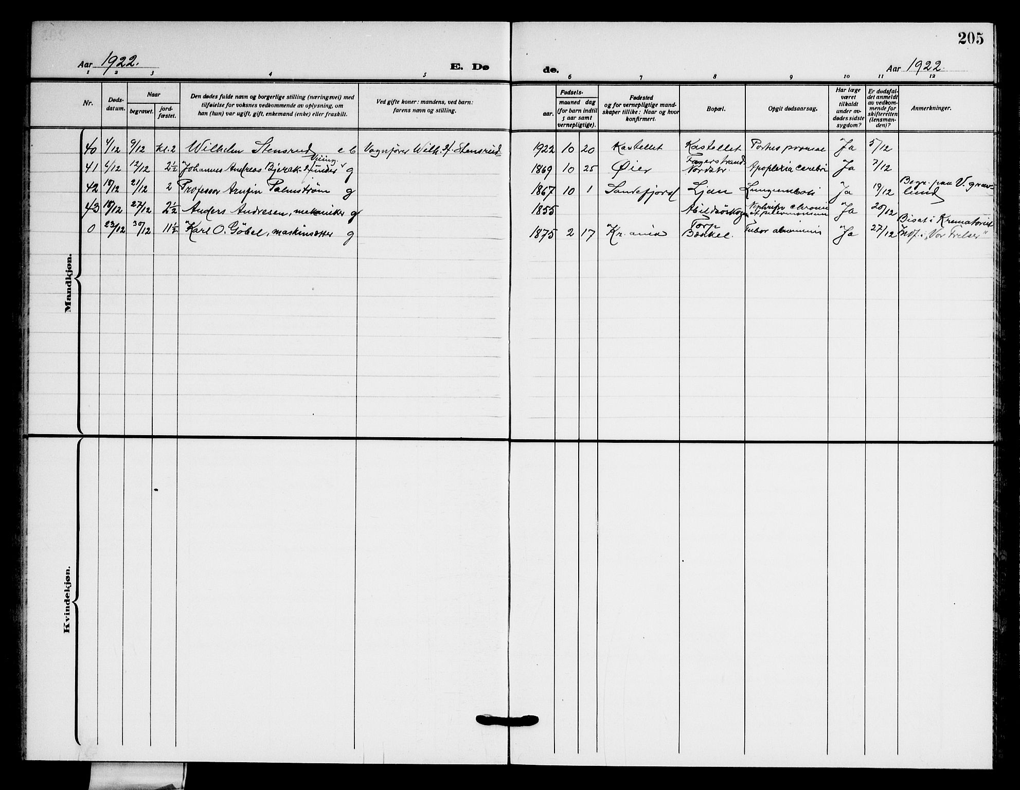 Nordstrand prestekontor Kirkebøker, AV/SAO-A-10362a/G/Ga/L0002: Klokkerbok nr. I 2, 1918-1925, s. 205