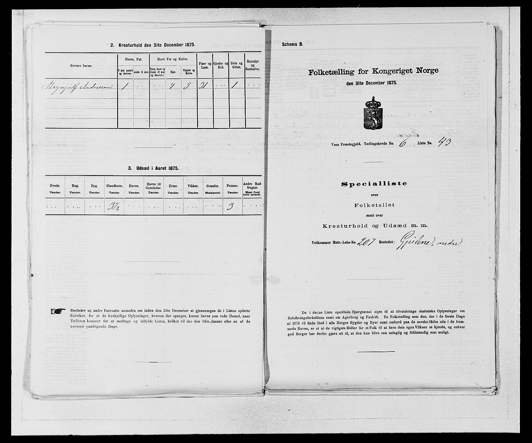 SAB, Folketelling 1875 for 1235P Voss prestegjeld, 1875, s. 785