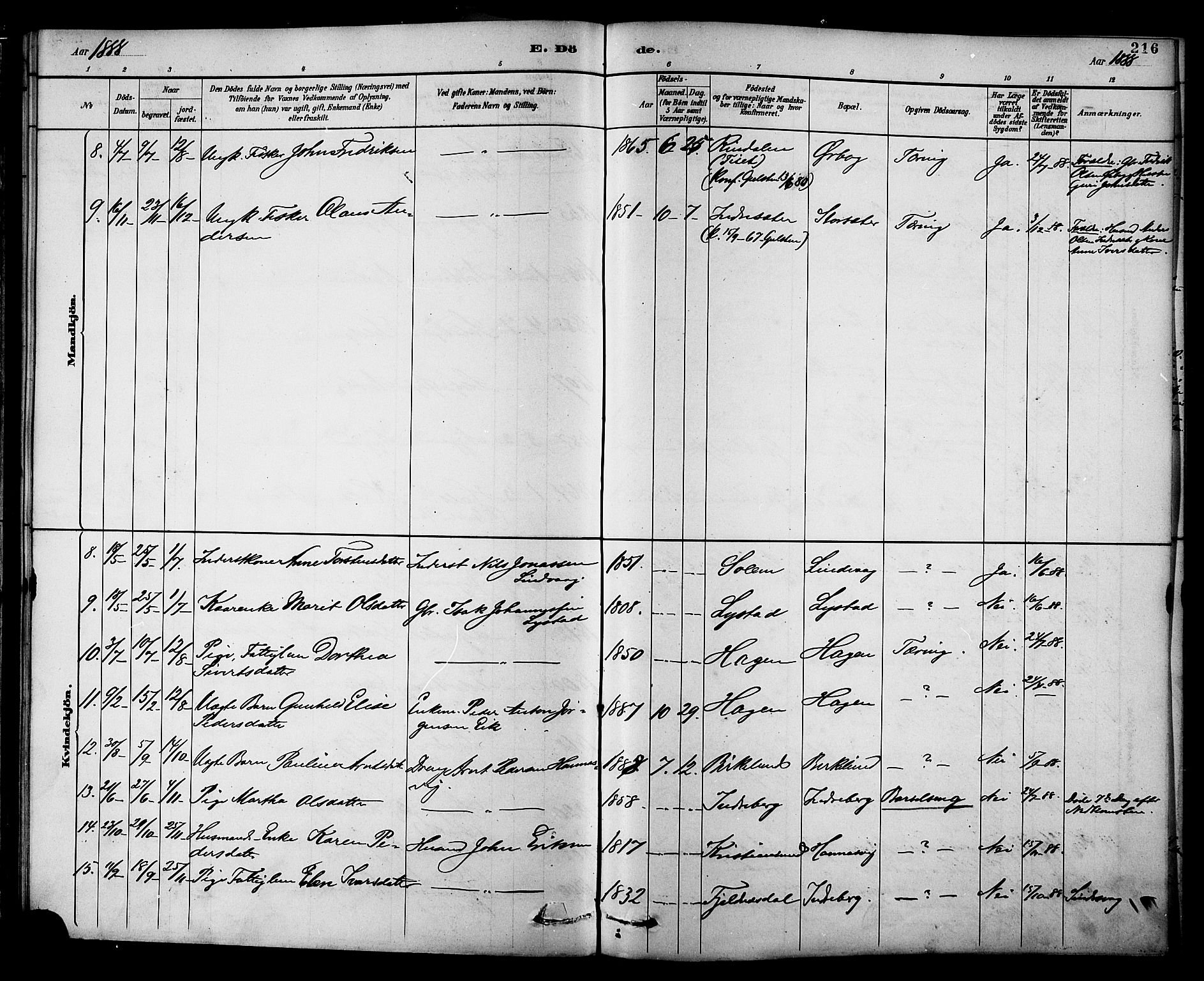 Ministerialprotokoller, klokkerbøker og fødselsregistre - Møre og Romsdal, AV/SAT-A-1454/577/L0896: Ministerialbok nr. 577A03, 1880-1898, s. 216