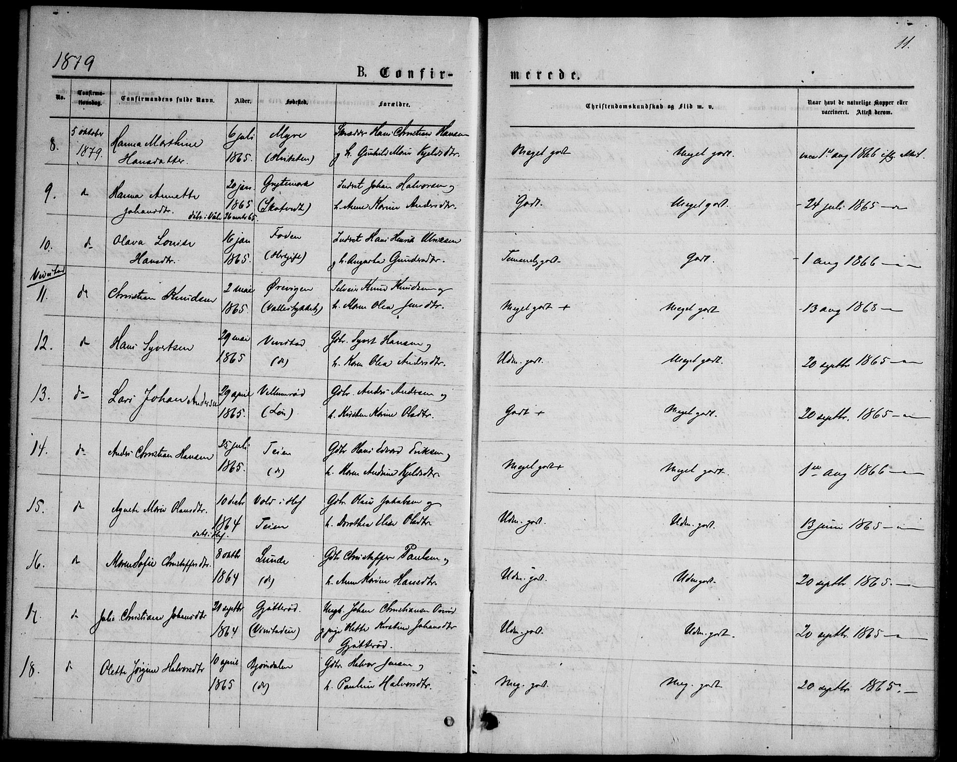 Ramnes kirkebøker, AV/SAKO-A-314/F/Fd/L0002: Residerende kapellans bok nr. IV 2, 1872-1886, s. 11
