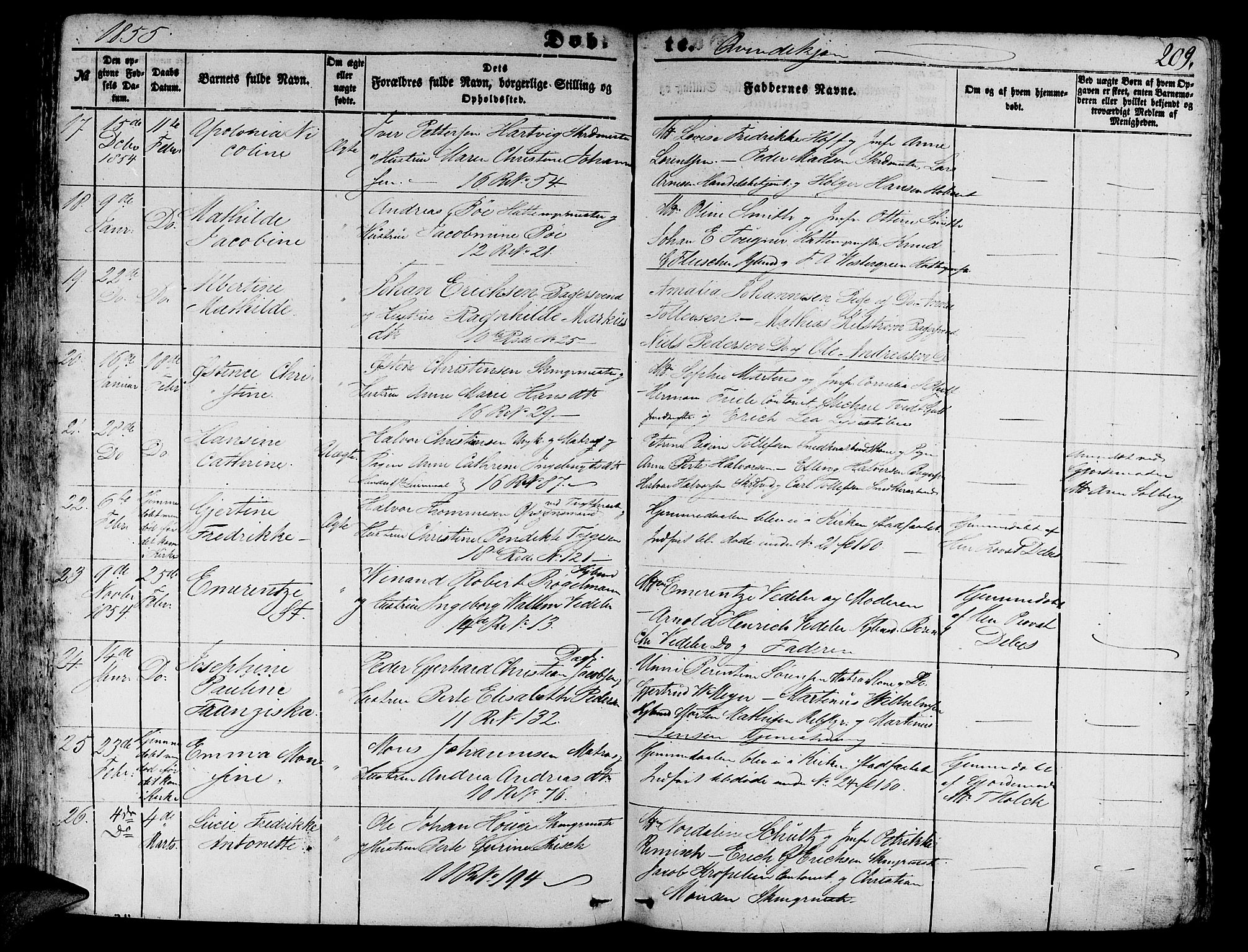 Domkirken sokneprestembete, AV/SAB-A-74801/H/Hab/L0010: Klokkerbok nr. B 3, 1849-1856, s. 209