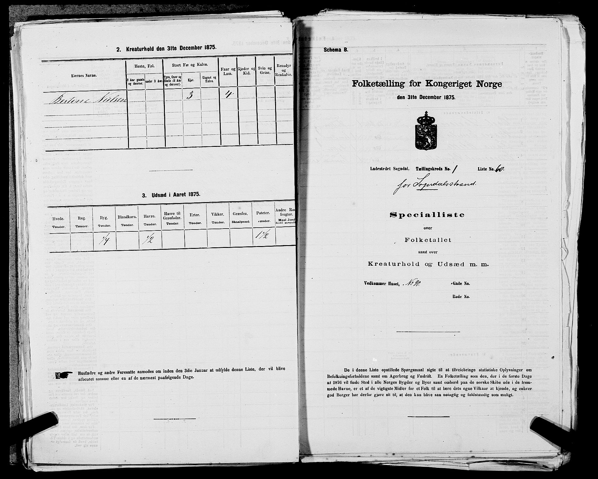 SAST, Folketelling 1875 for 1107B Sokndal prestegjeld, Sokndal ladested, 1875, s. 123