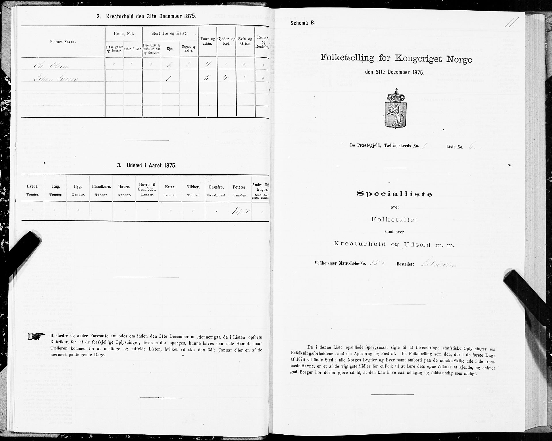 SAT, Folketelling 1875 for 1867P Bø prestegjeld, 1875, s. 1011