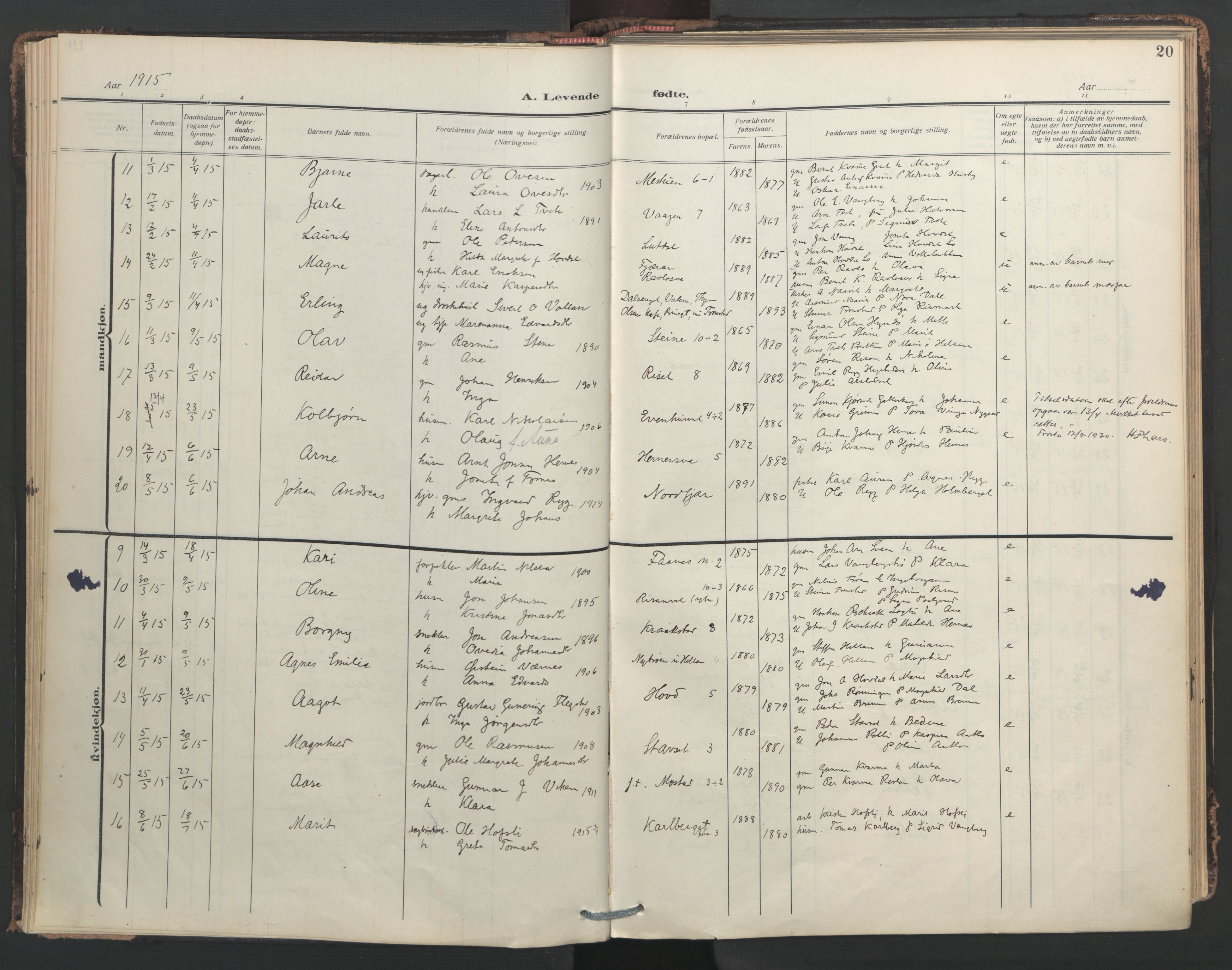 Ministerialprotokoller, klokkerbøker og fødselsregistre - Nord-Trøndelag, SAT/A-1458/713/L0123: Ministerialbok nr. 713A12, 1911-1925, s. 20