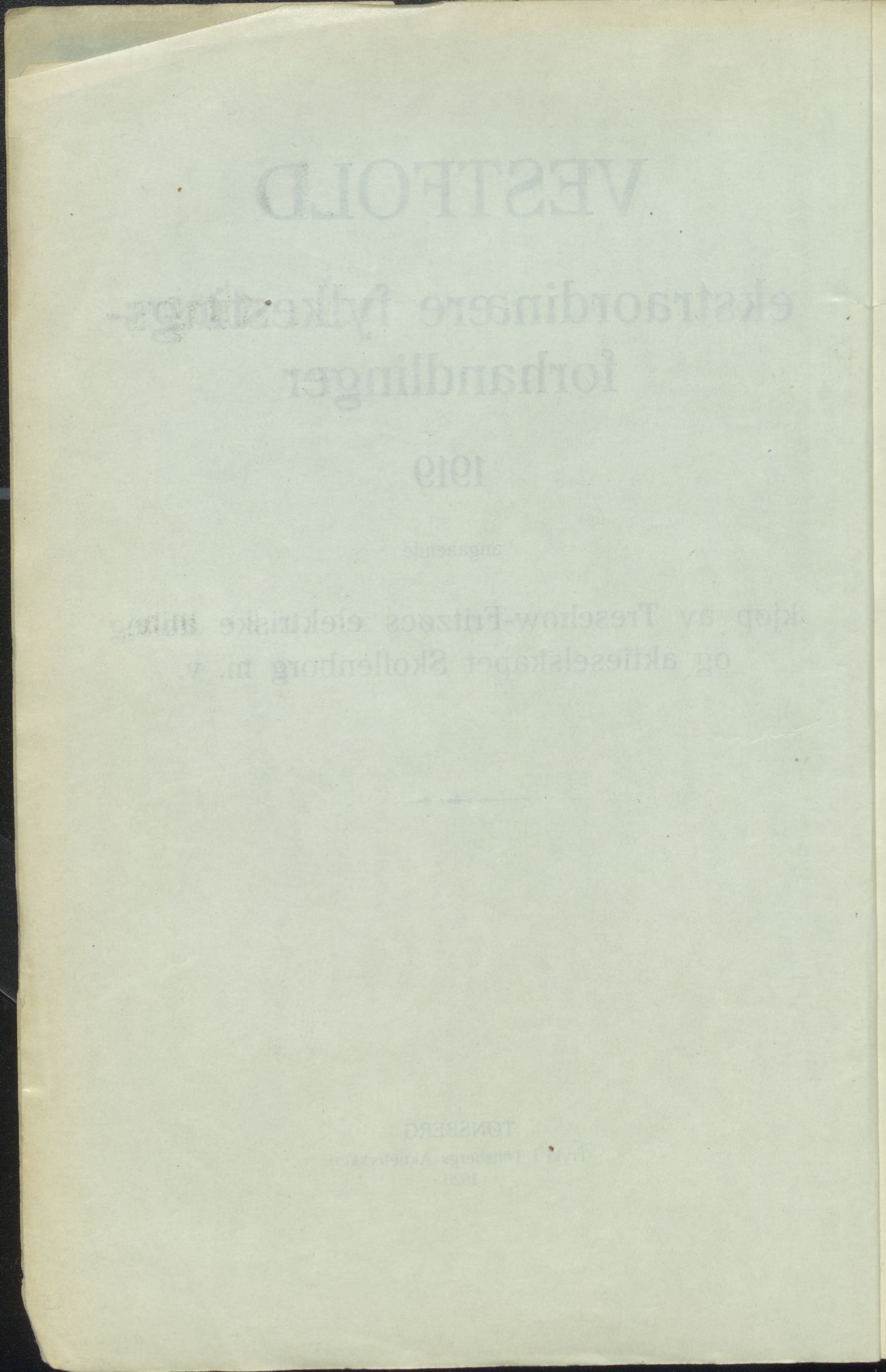 Vestfold fylkeskommune. Fylkestinget, VEMU/A-1315/A/Ab/Abb/L0067: Fylkestingsforhandlinger, 1919