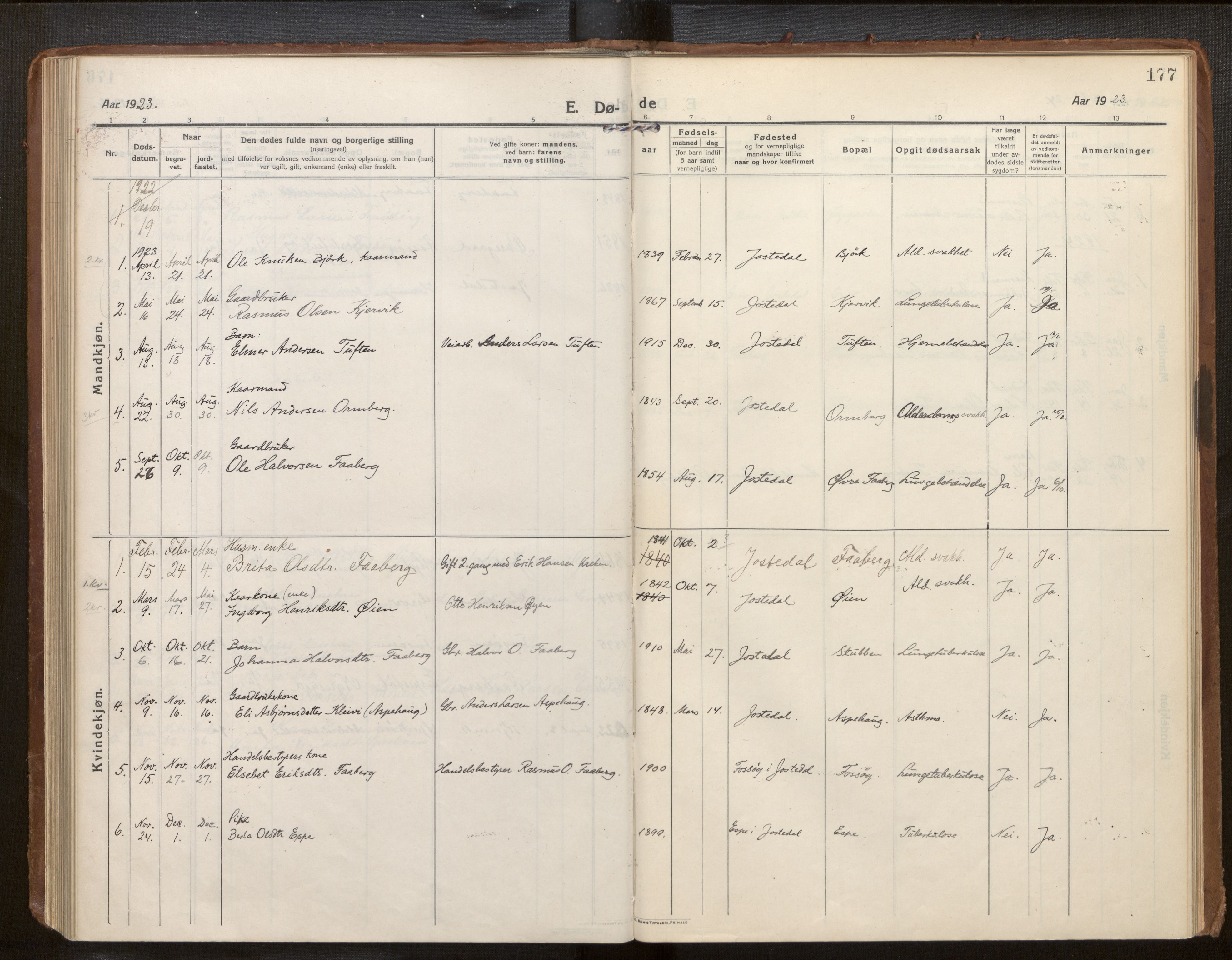 Jostedal sokneprestembete, AV/SAB-A-80601/H/Haa/Haab/L0002: Ministerialbok nr. B 2, 1915-1931, s. 177