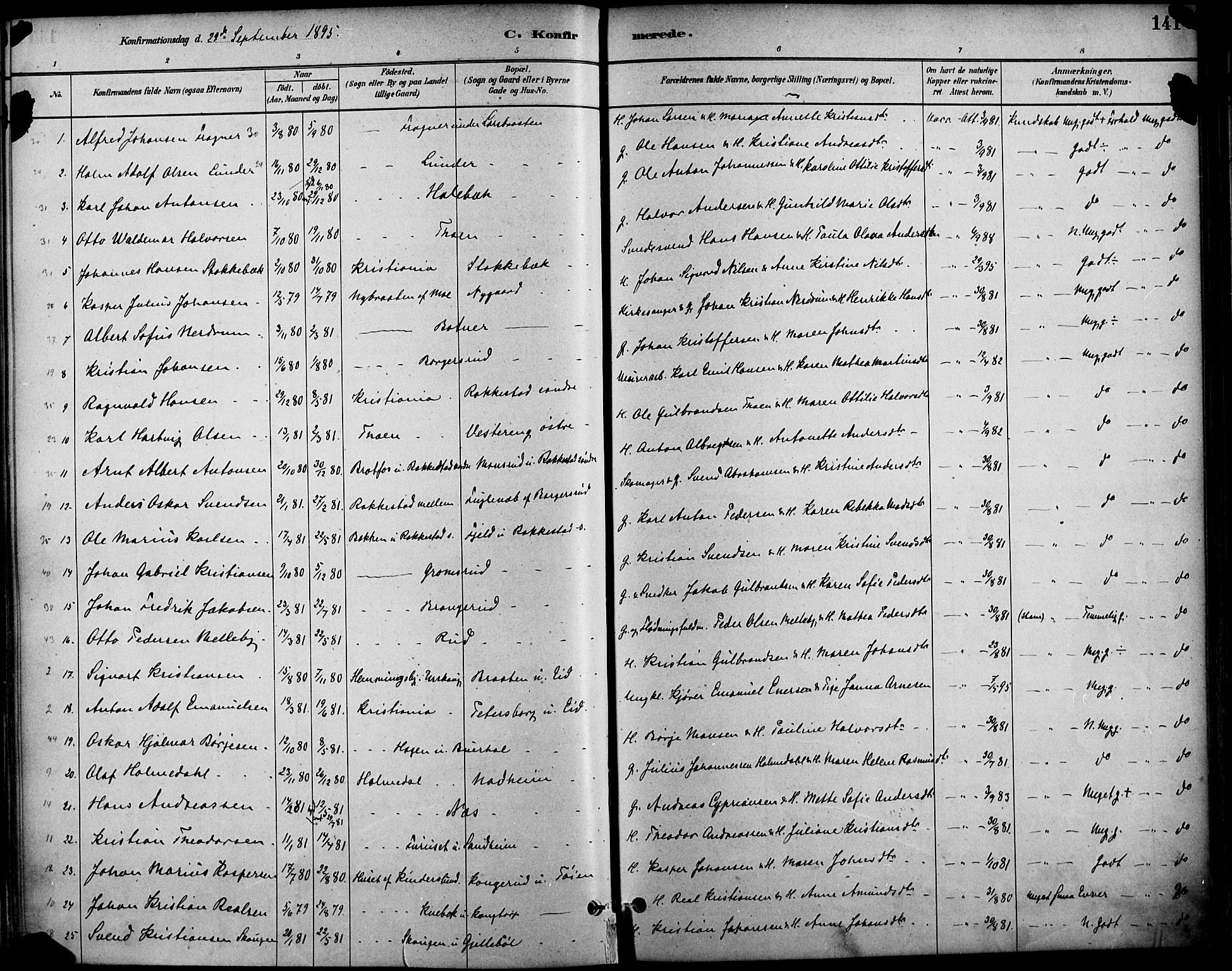 Høland prestekontor Kirkebøker, SAO/A-10346a/F/Fa/L0013: Ministerialbok nr. I 13, 1880-1897, s. 141